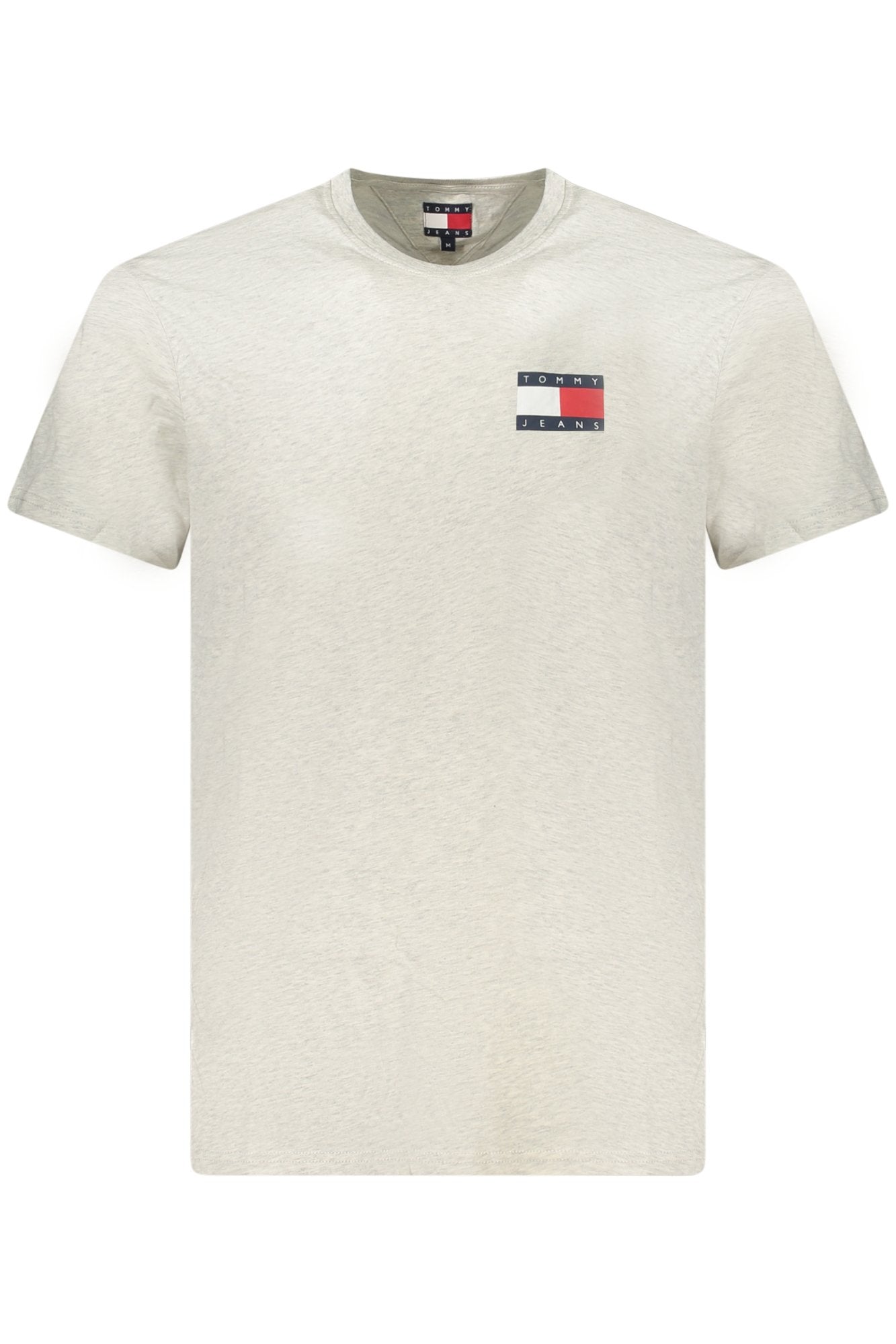 TOMMY HILFIGER T-Shirts Grey - DM0DM20740