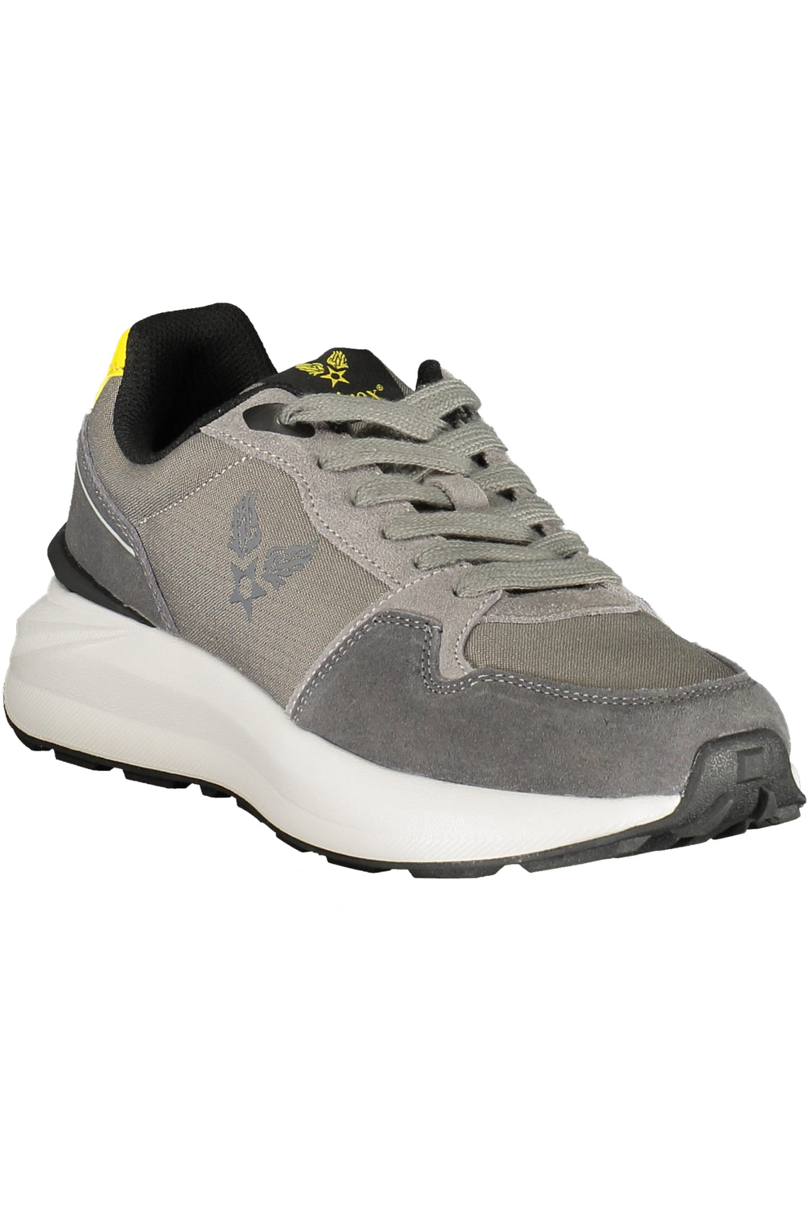 AVIREX Sneakers Grey - ESTER002CORSUP