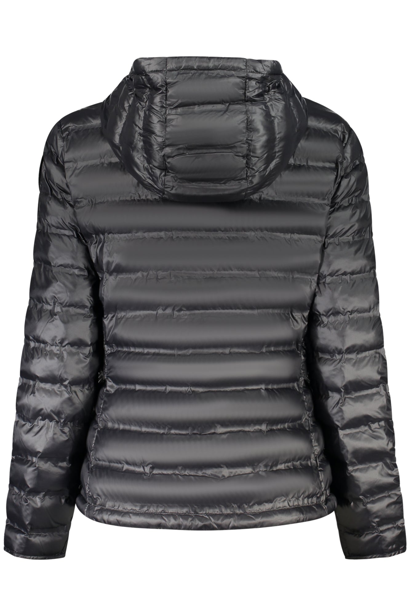 BLAUER APPAREL Jackets and down jackets Black - 26SBLDC02172