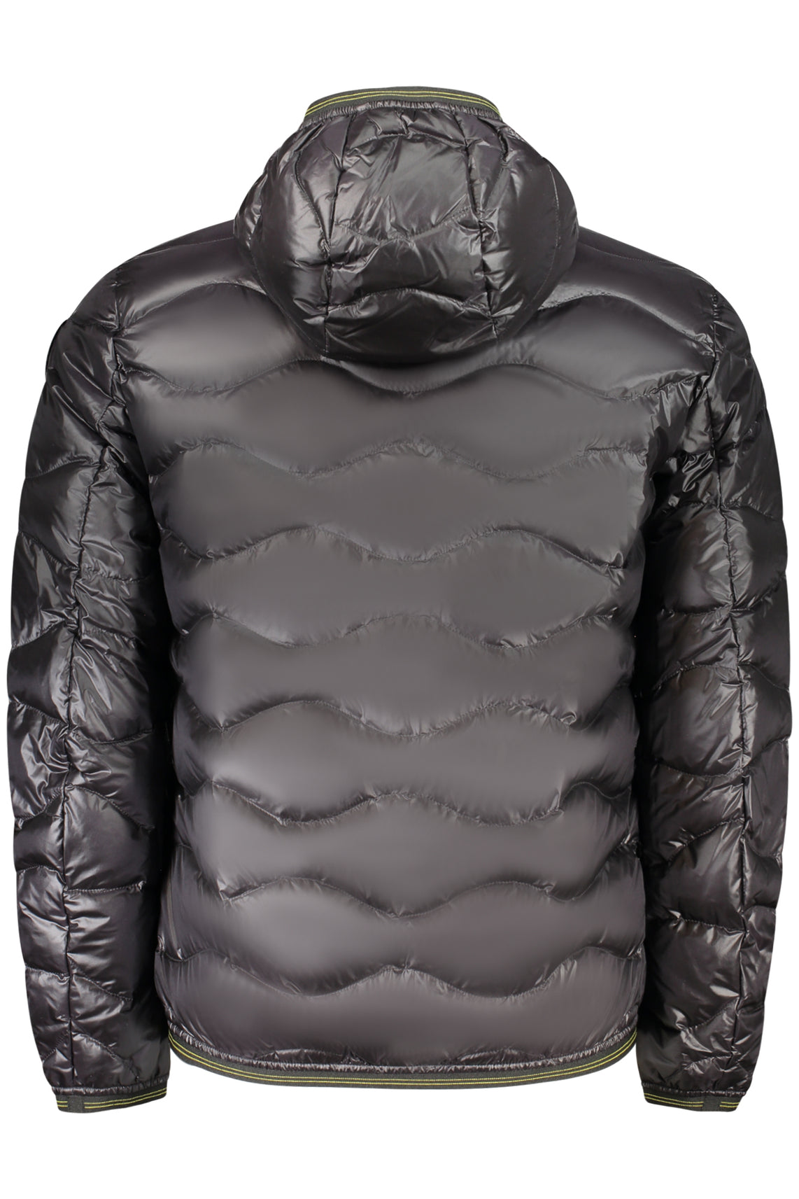 BLAUER APPAREL Jackets and down jackets Black - 26SBLUC03177