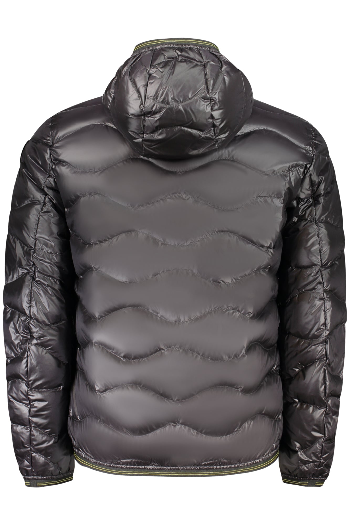 BLAUER APPAREL Jackets and down jackets Black - 26SBLUC03177