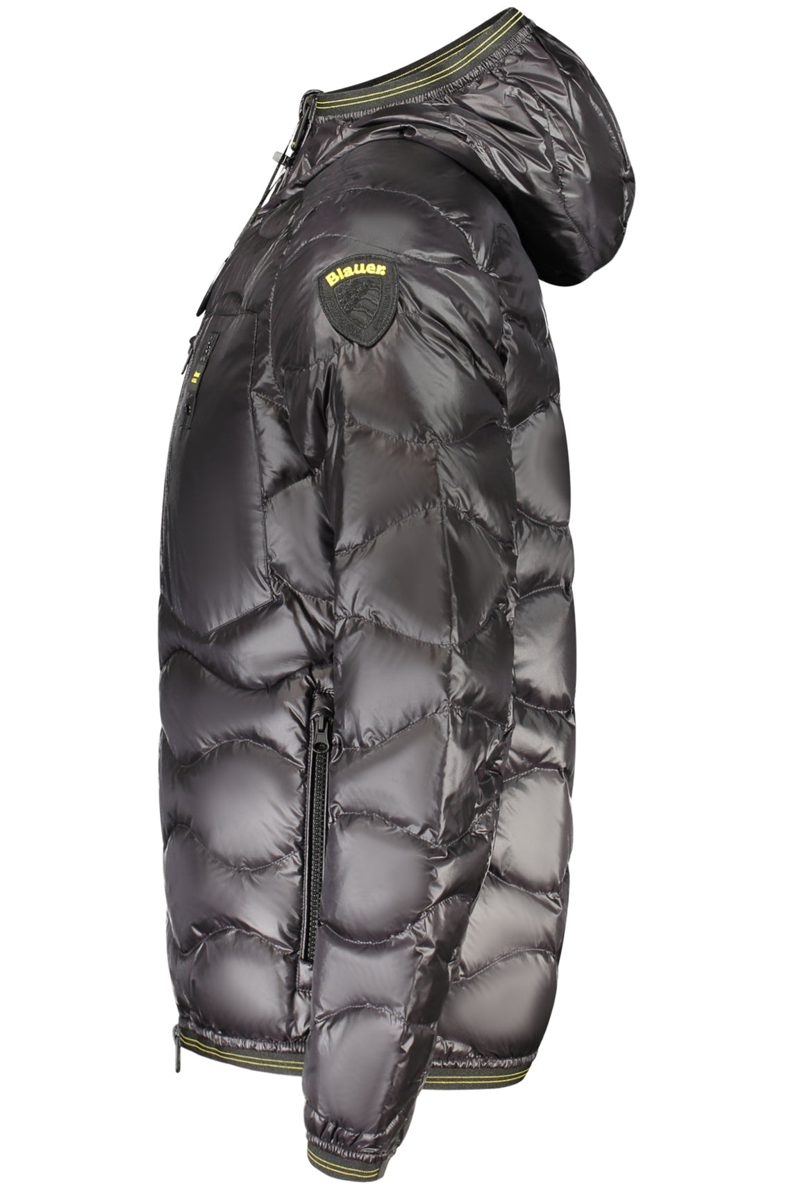 BLAUER APPAREL Jackets and down jackets Black - 26SBLUC03177