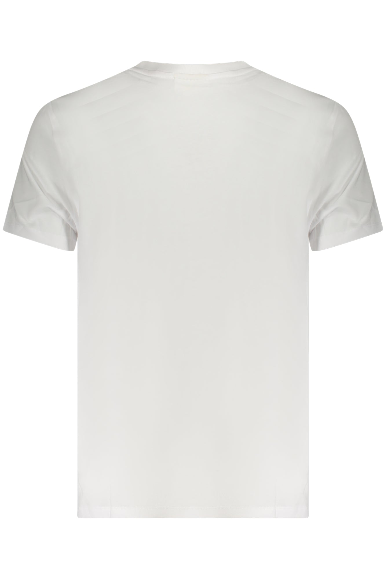 CALVIN KLEIN T-Shirts White - LV040HM298