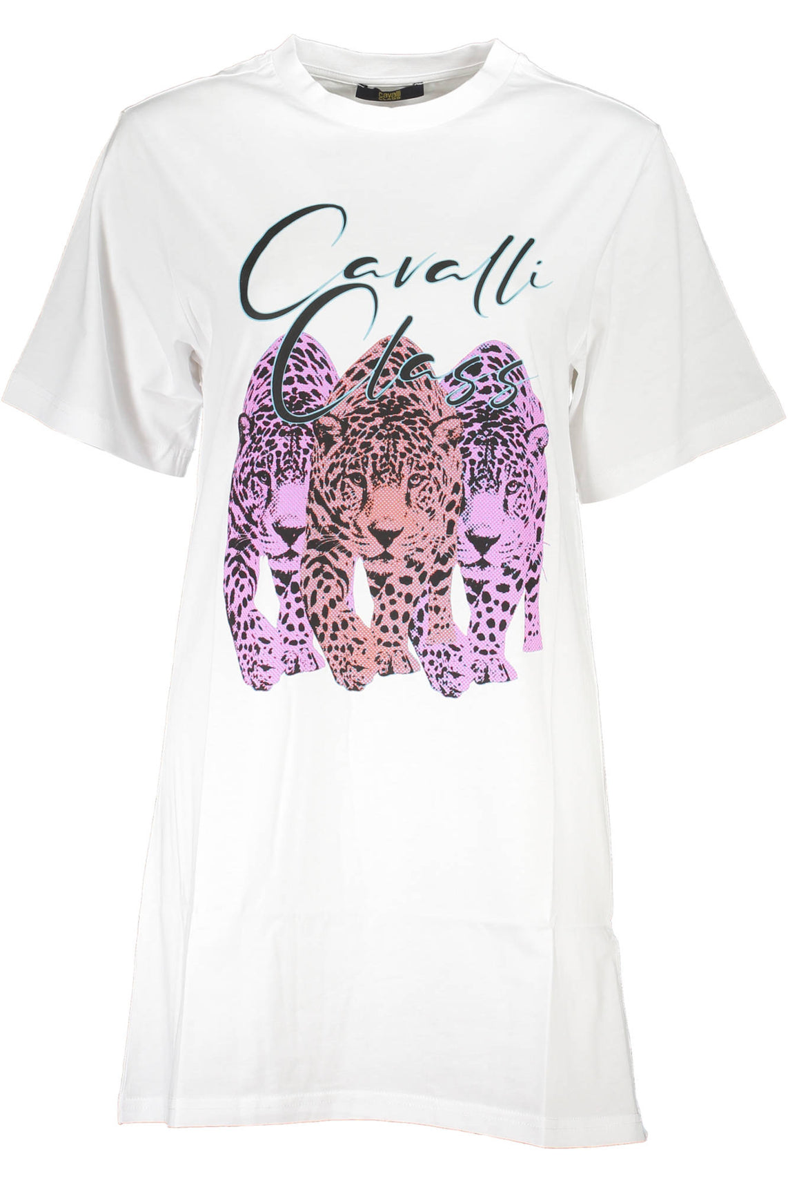 CAVALLI CLASS