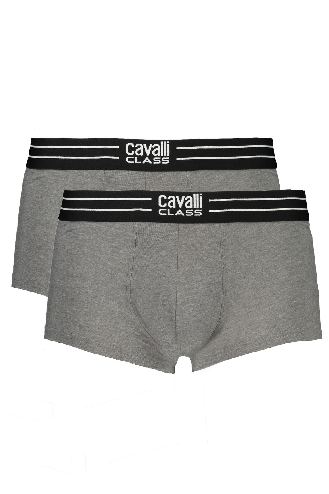 CAVALLI CLASS