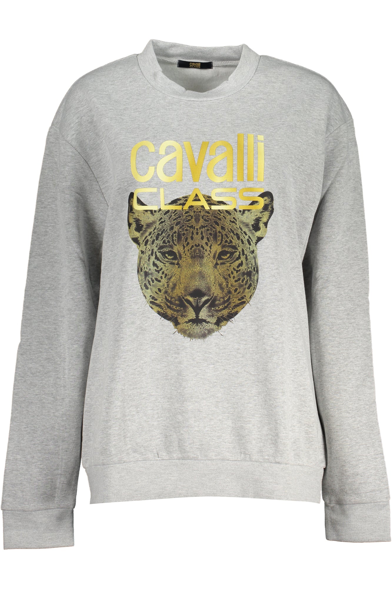 CAVALLI CLASS Sweatshirts Grey - QXT67ZCF062