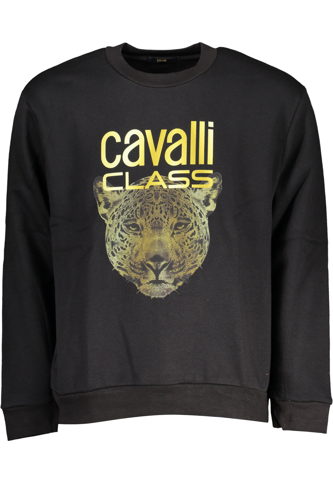 CAVALLI CLASS