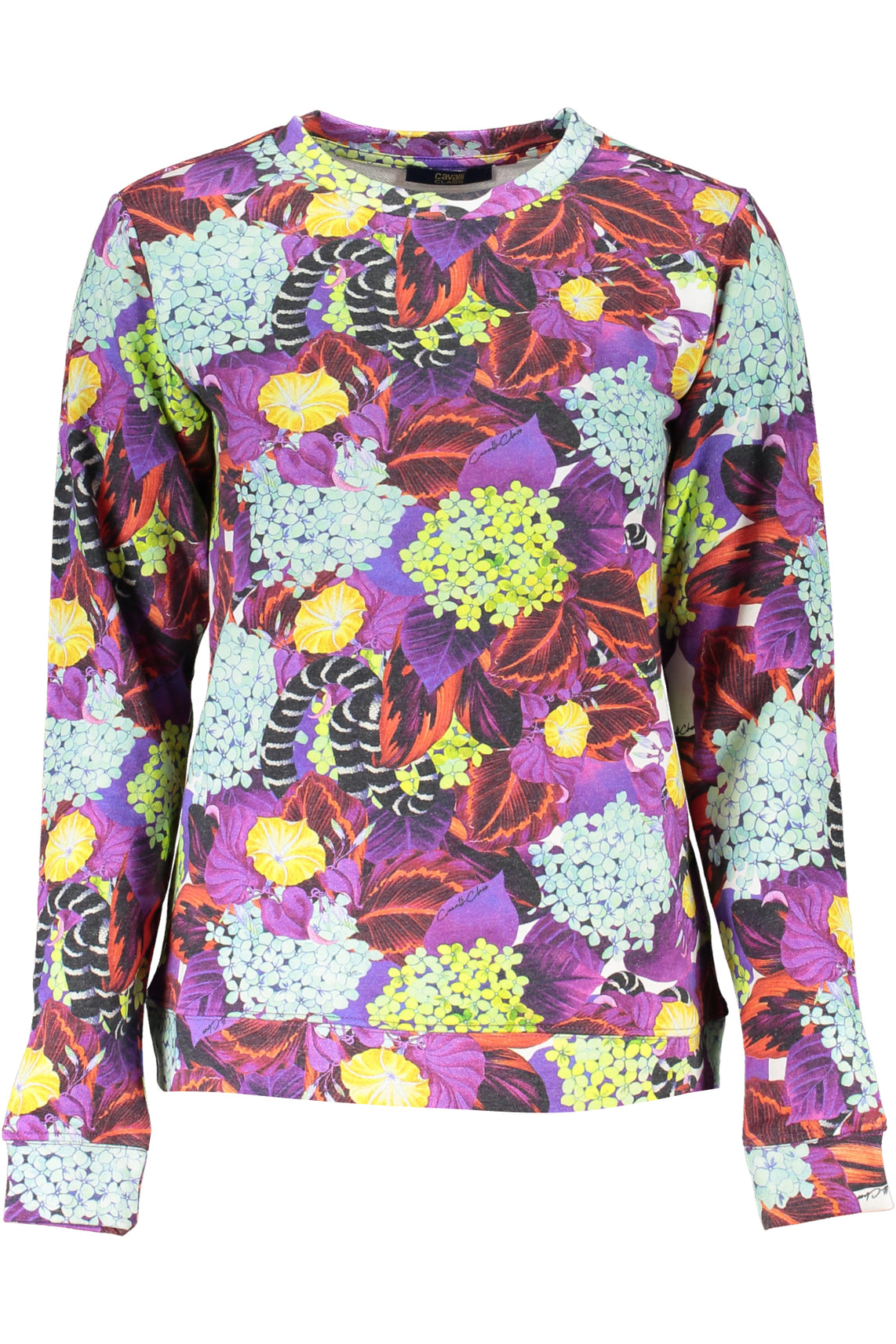 CAVALLI CLASS Sweatshirts Purple - RXT67D2OH72
