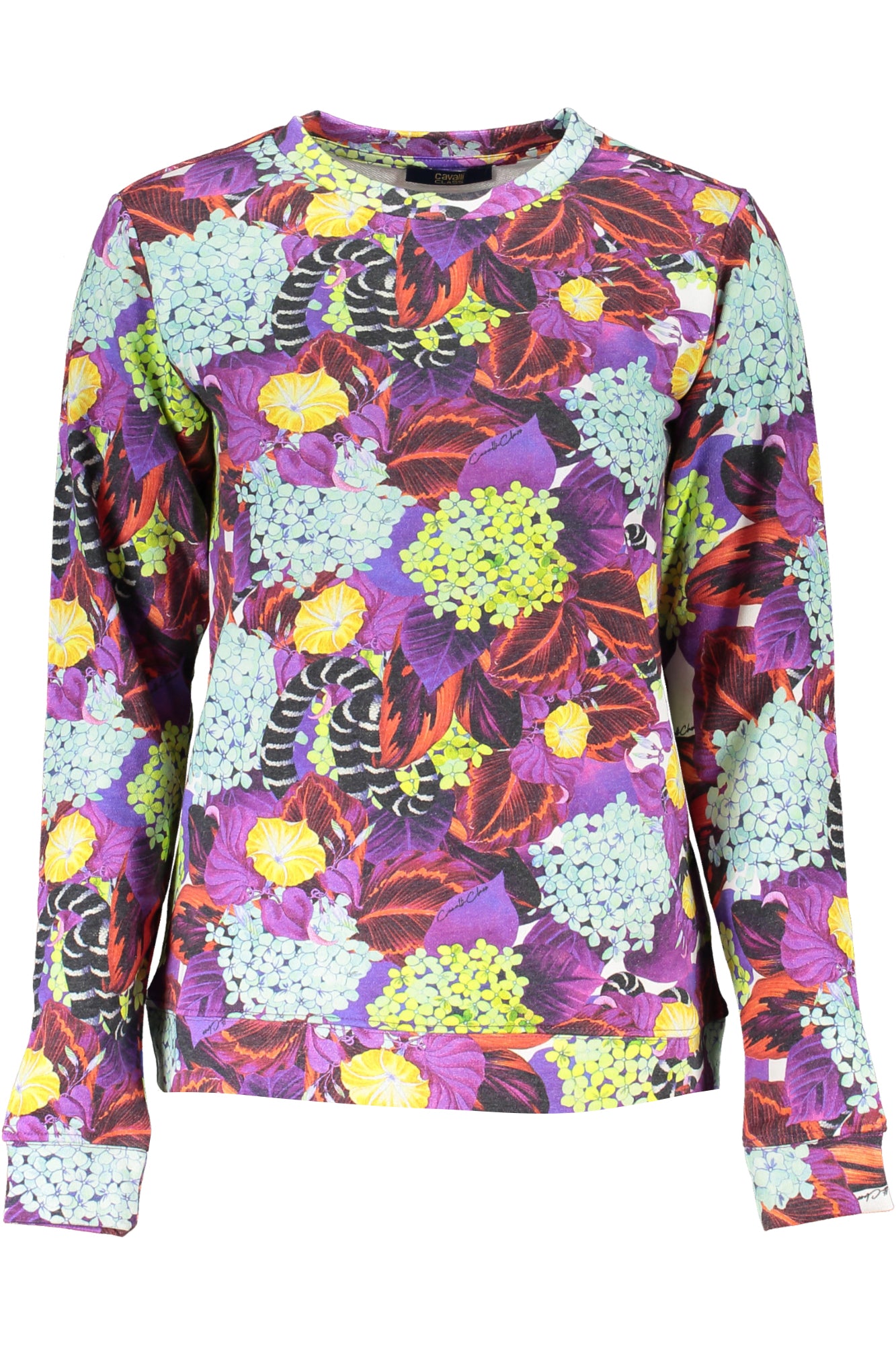 CAVALLI CLASS Sweatshirts Purple - RXT67D2OH72