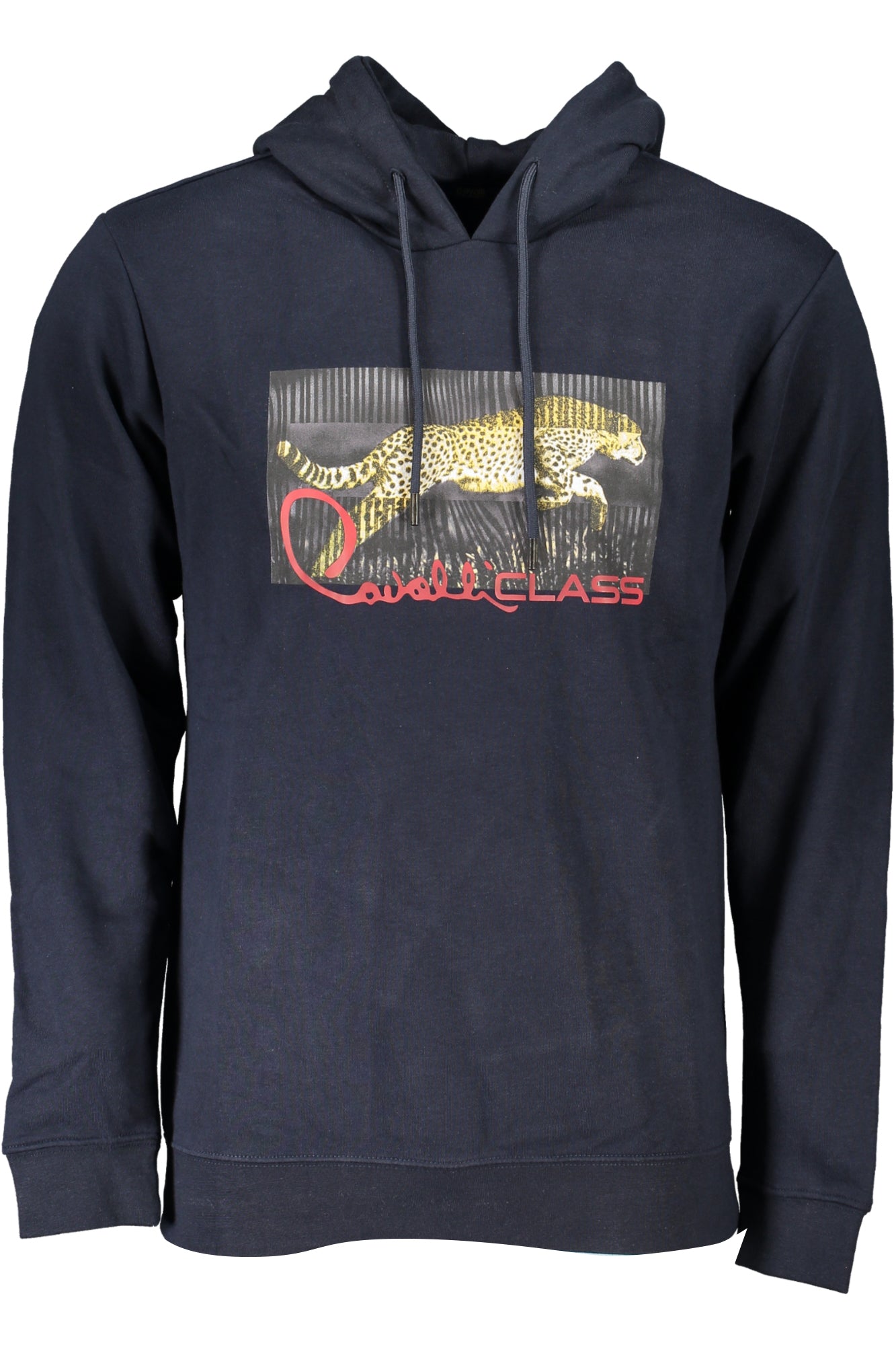 CAVALLI CLASS Sweatshirts Blue - RXT65ECF062