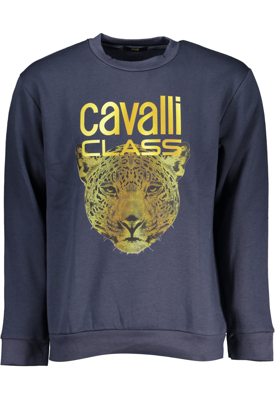 CAVALLI CLASS