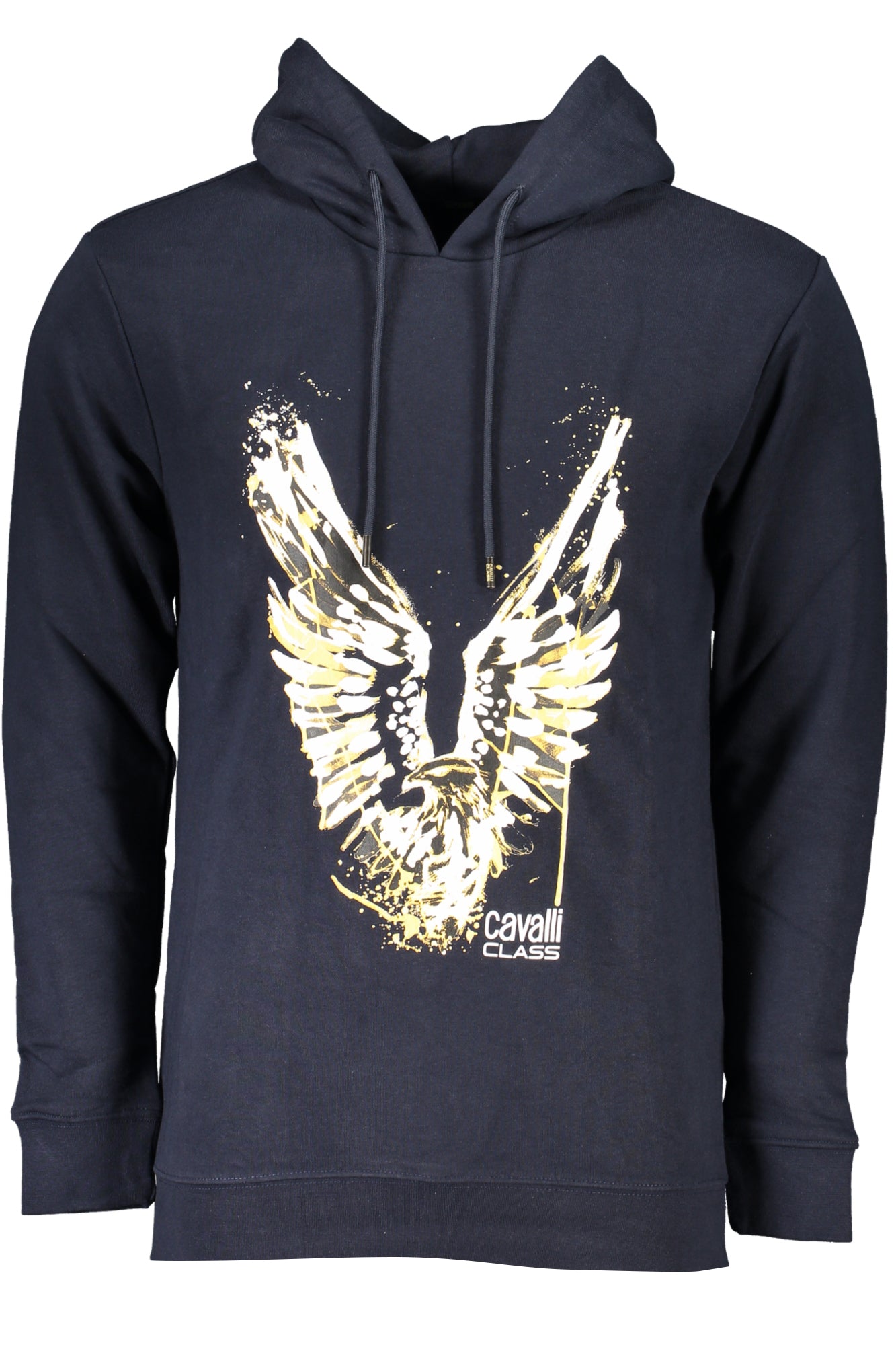 CAVALLI CLASS Sweatshirts Blue - RXT65DCF062