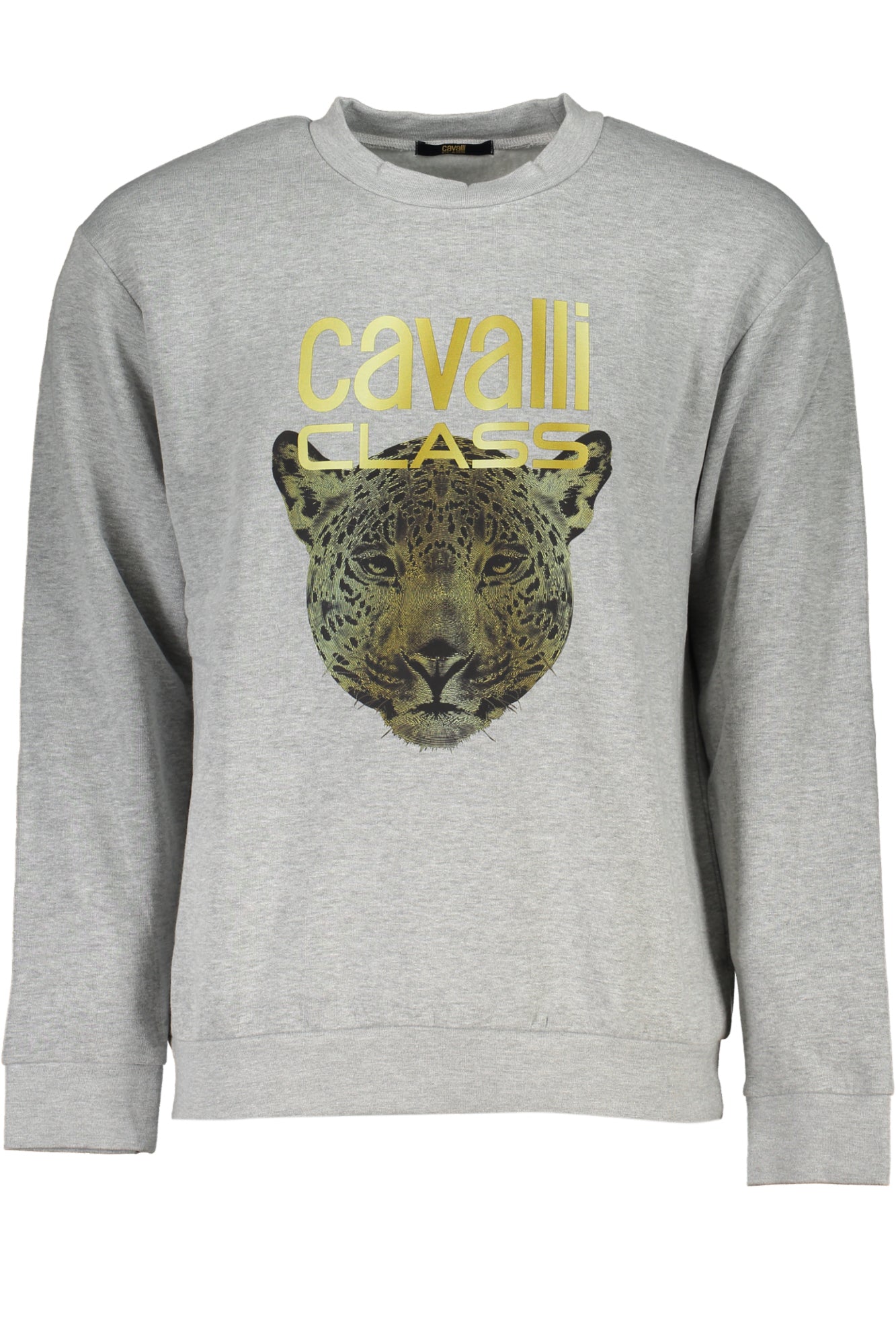 CAVALLI CLASS Sweatshirts Grey - QXT66BCF062