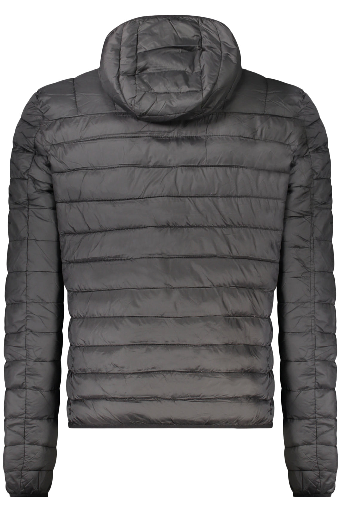 CAVALLI CLASS Jackets and down jackets Black - TXT40QSB049