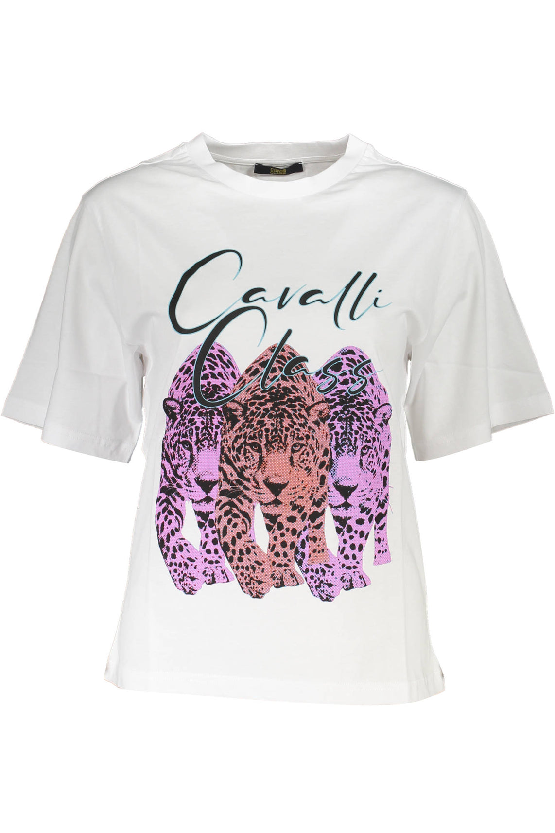 CAVALLI CLASS