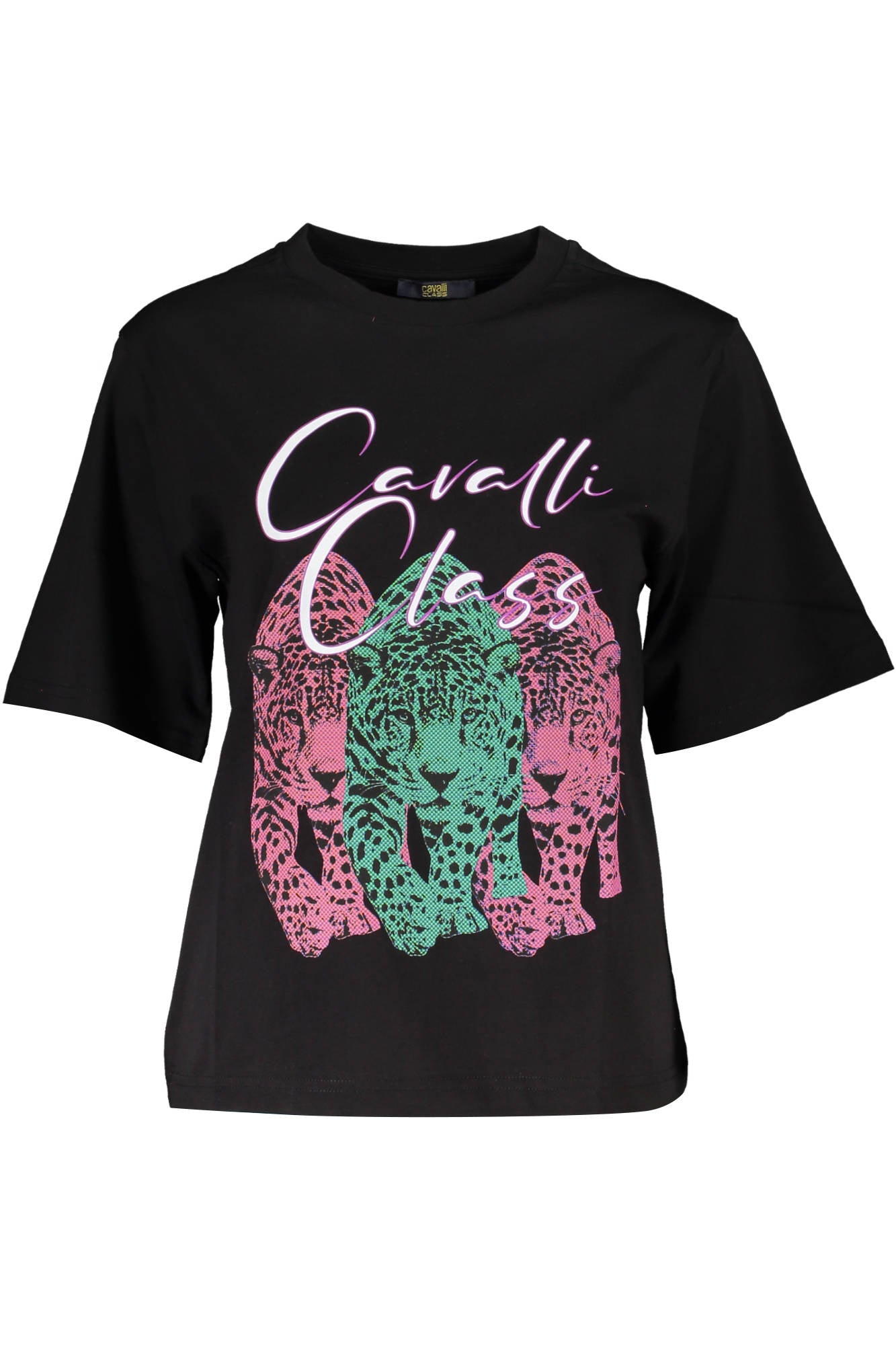 CAVALLI CLASS