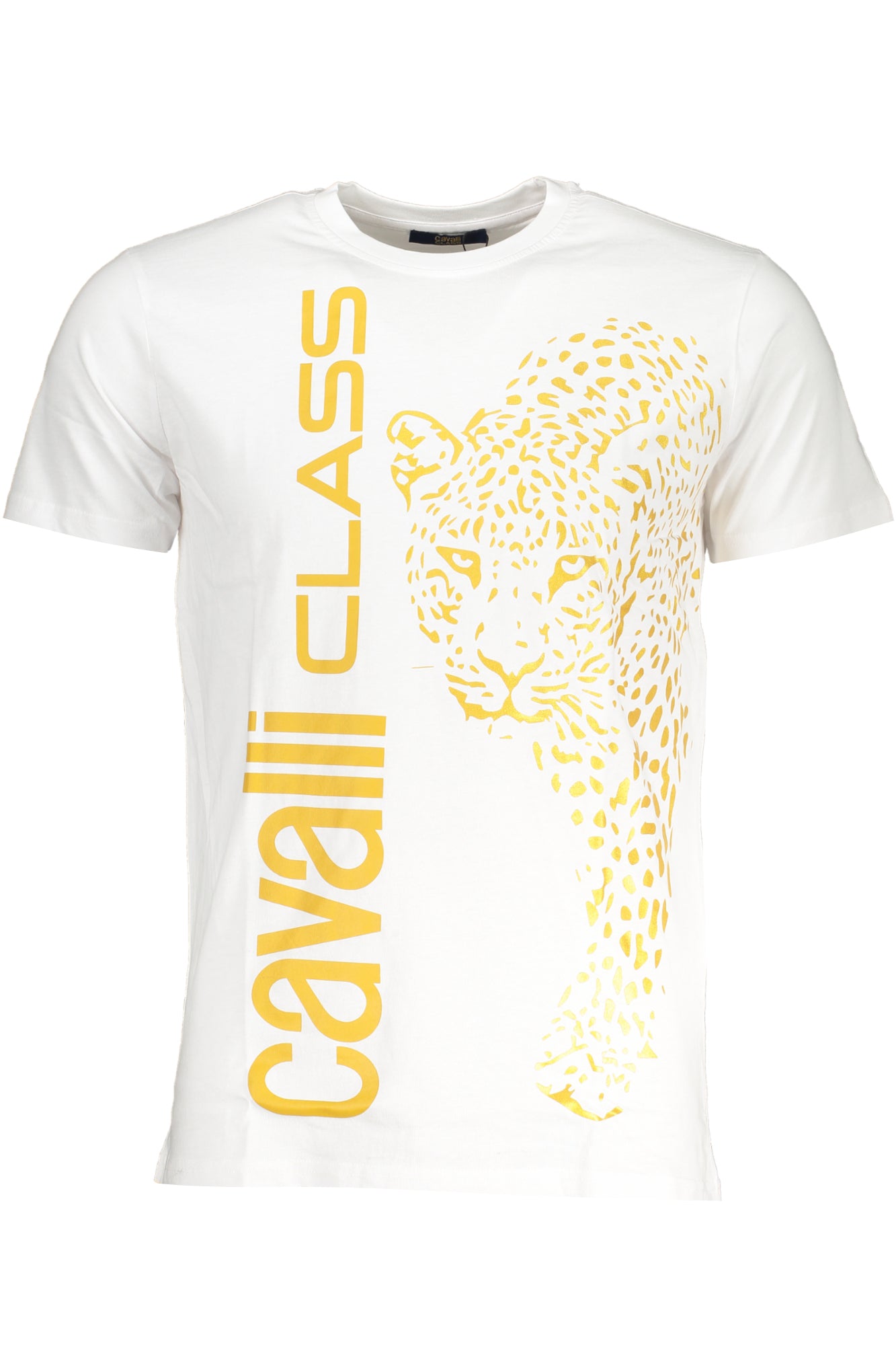 CAVALLI CLASS T-Shirts White - QXT62RJD060