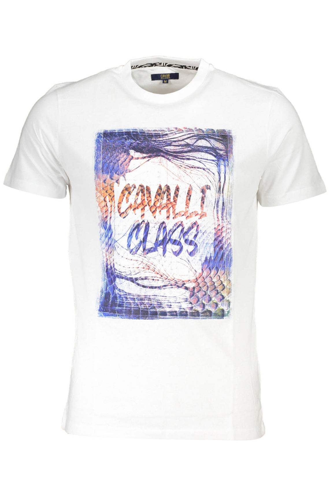 CAVALLI CLASS T-Shirts White - QXT61OJD060