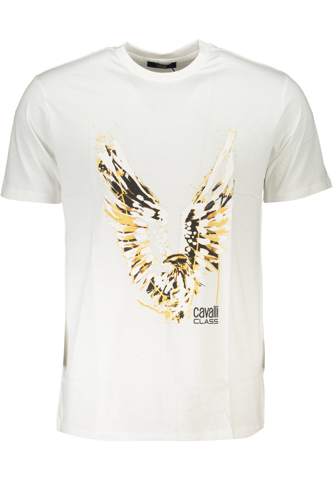 CAVALLI CLASS