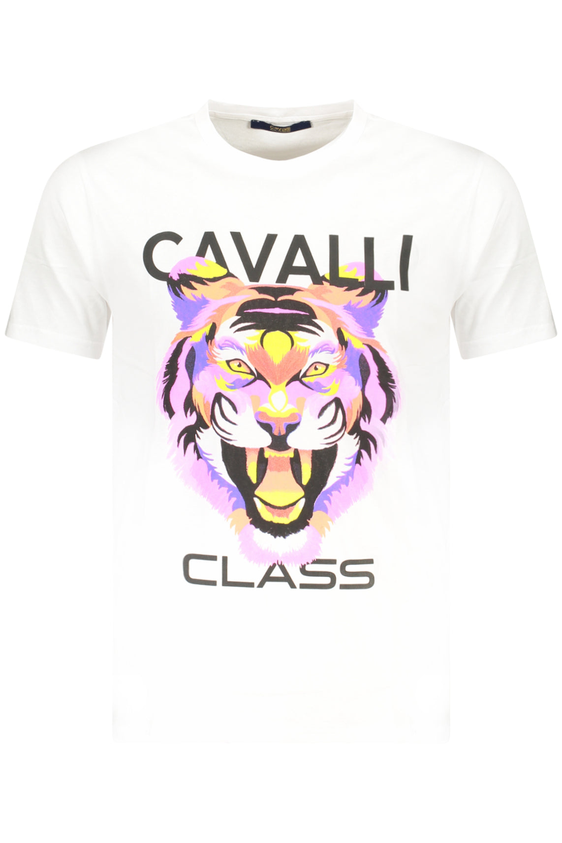 CAVALLI CLASS T-Shirts White - TXT60FJD060