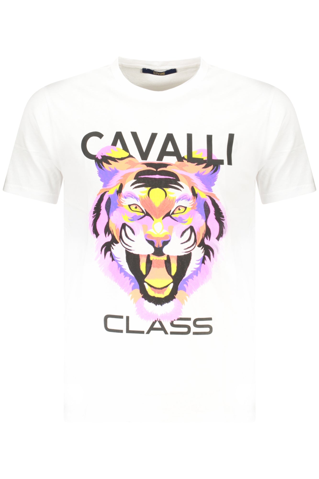 CAVALLI CLASS T-Shirts White - TXT60FJD060