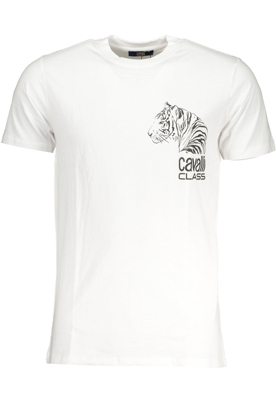 CAVALLI CLASS T-Shirts White - QXT63EJD060