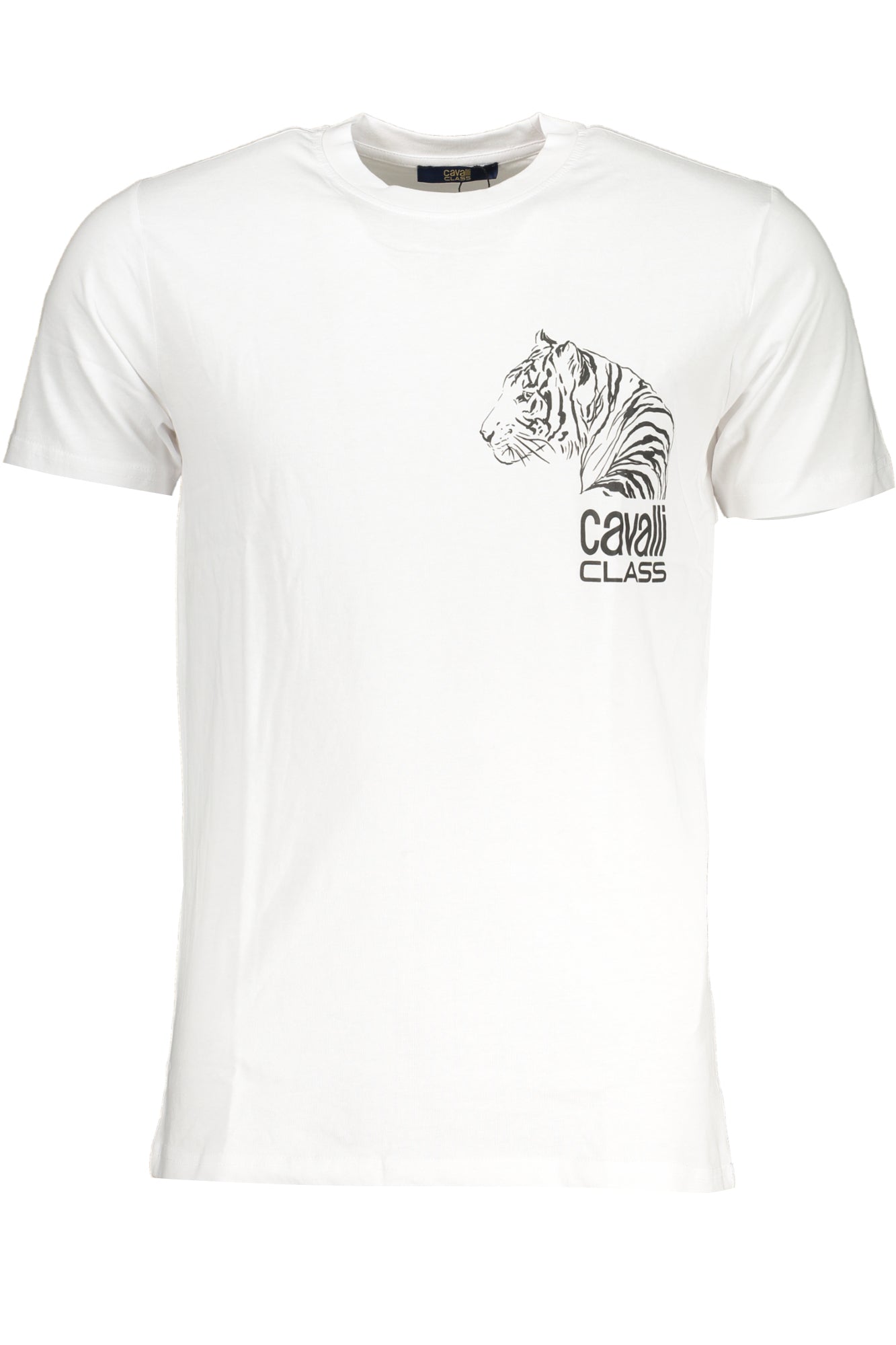 CAVALLI CLASS T-Shirts White - QXT63EJD060