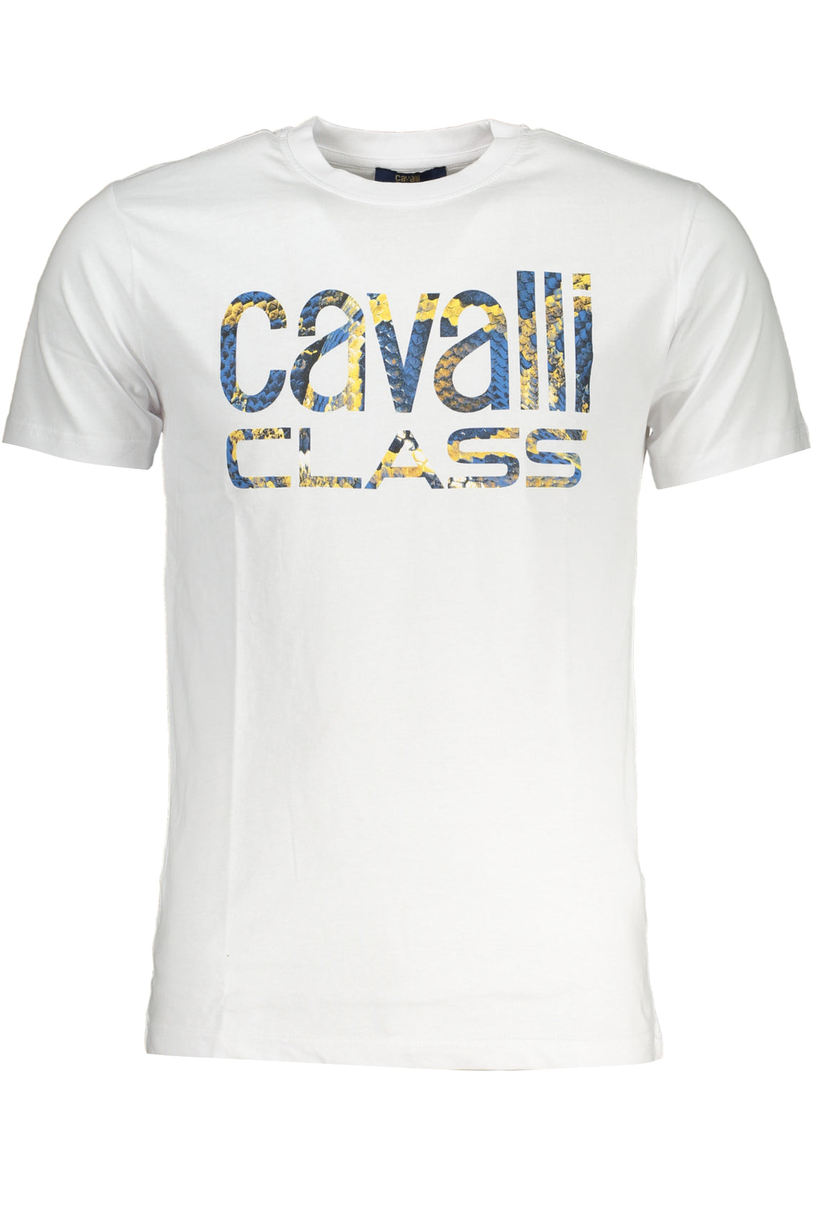 CAVALLI CLASS T-Shirts White - QXT63FJD060