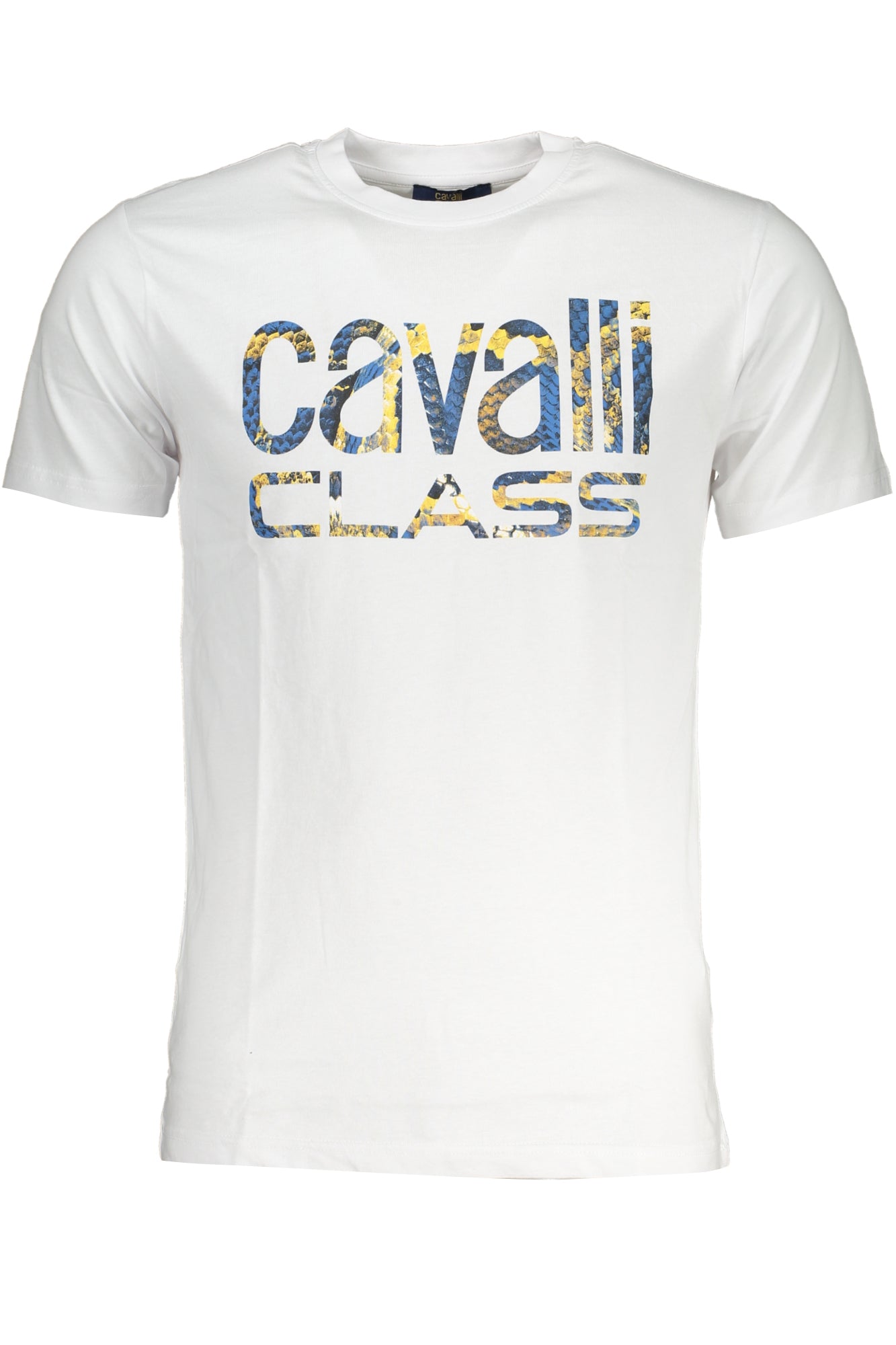 CAVALLI CLASS T-Shirts White - QXT63FJD060