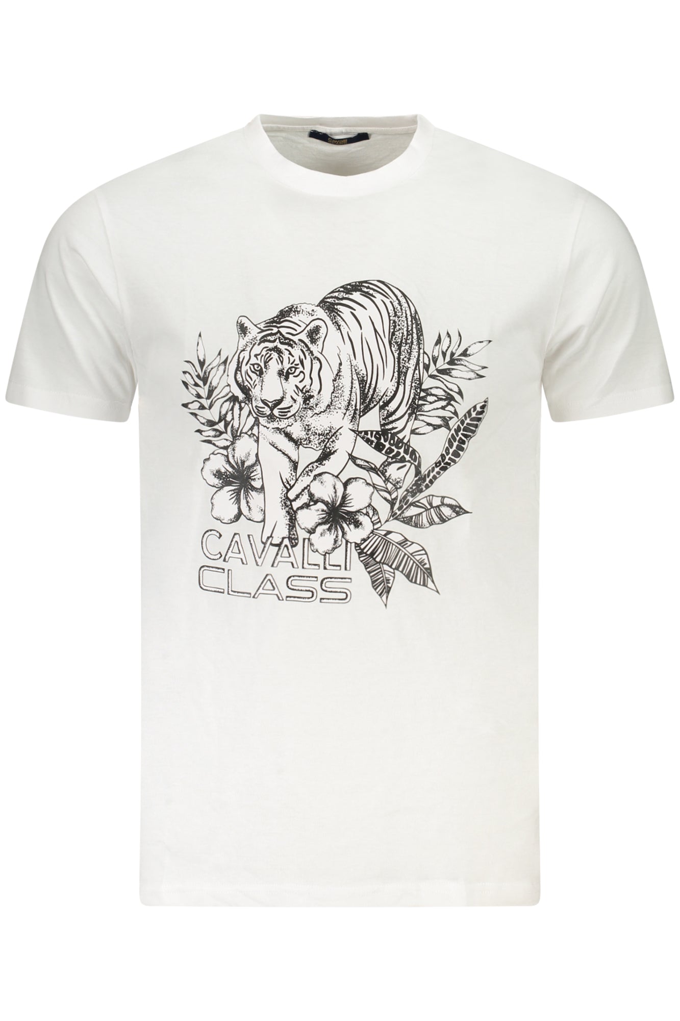 CAVALLI CLASS T-Shirts White - TXT60RJD060
