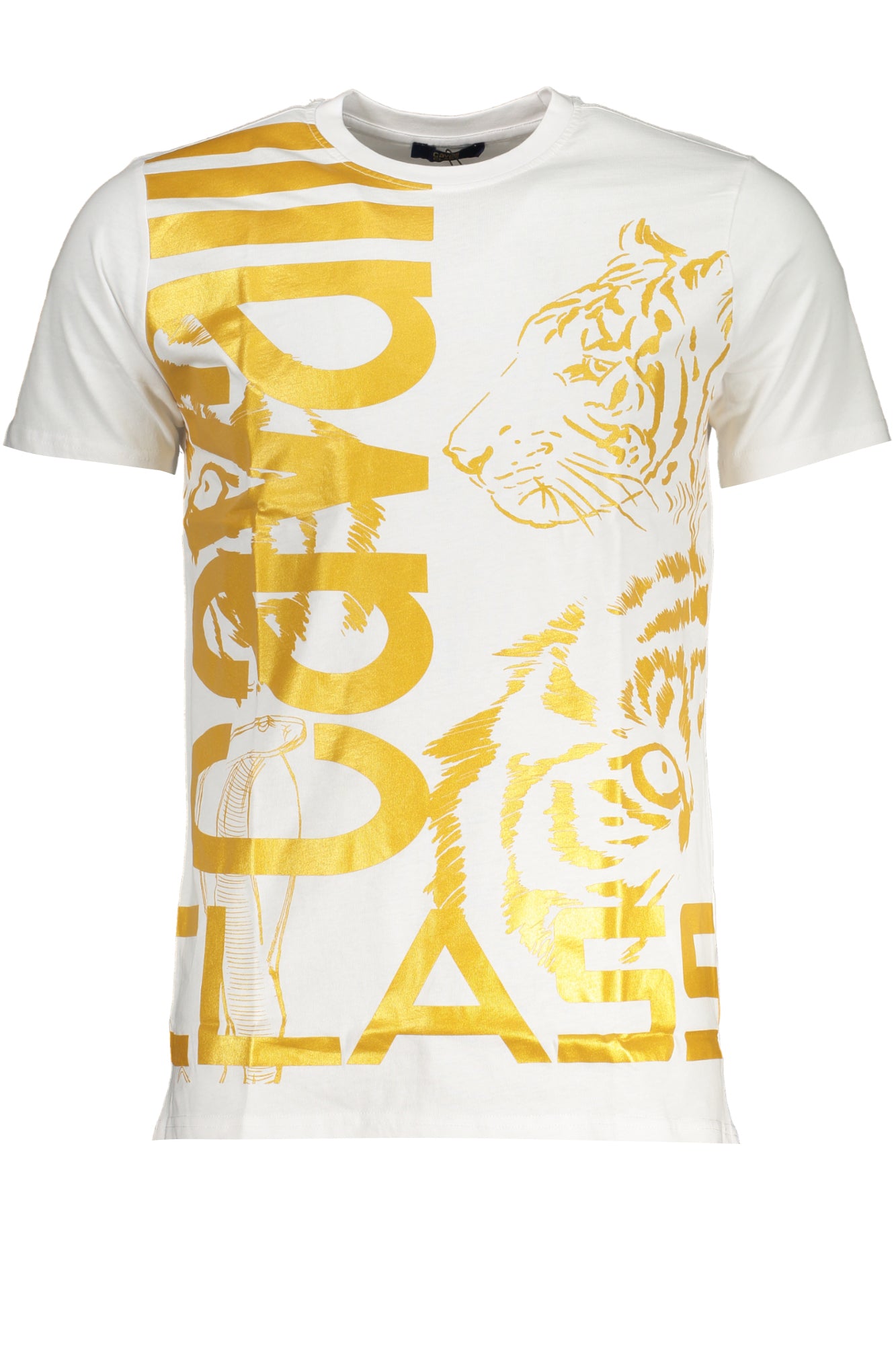 CAVALLI CLASS T-Shirts White - QXT63DJD060
