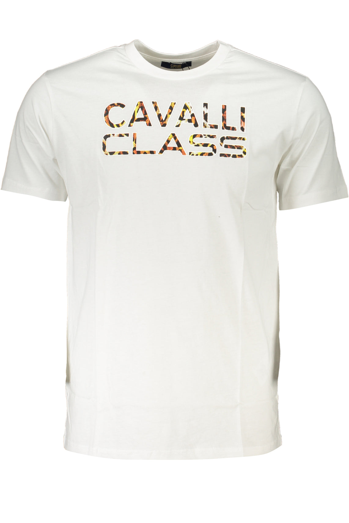 CAVALLI CLASS