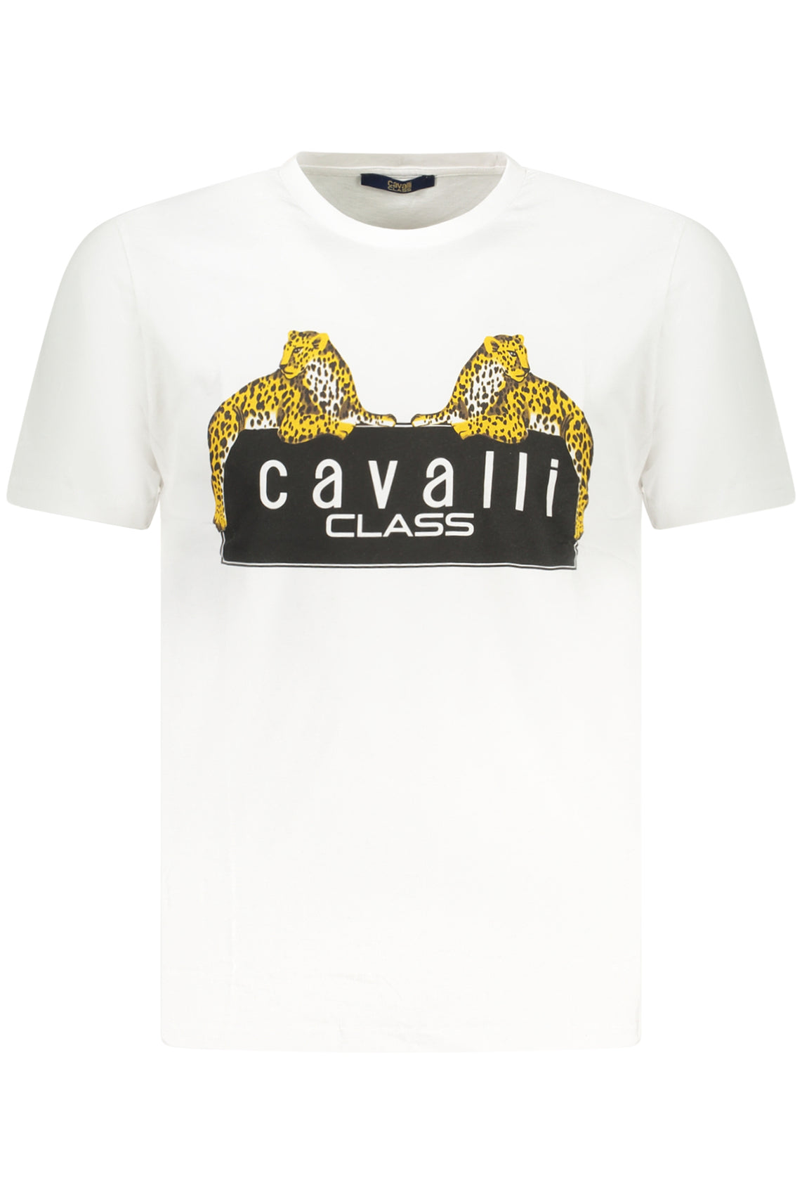 CAVALLI CLASS T-Shirts White - TXT60NJD060