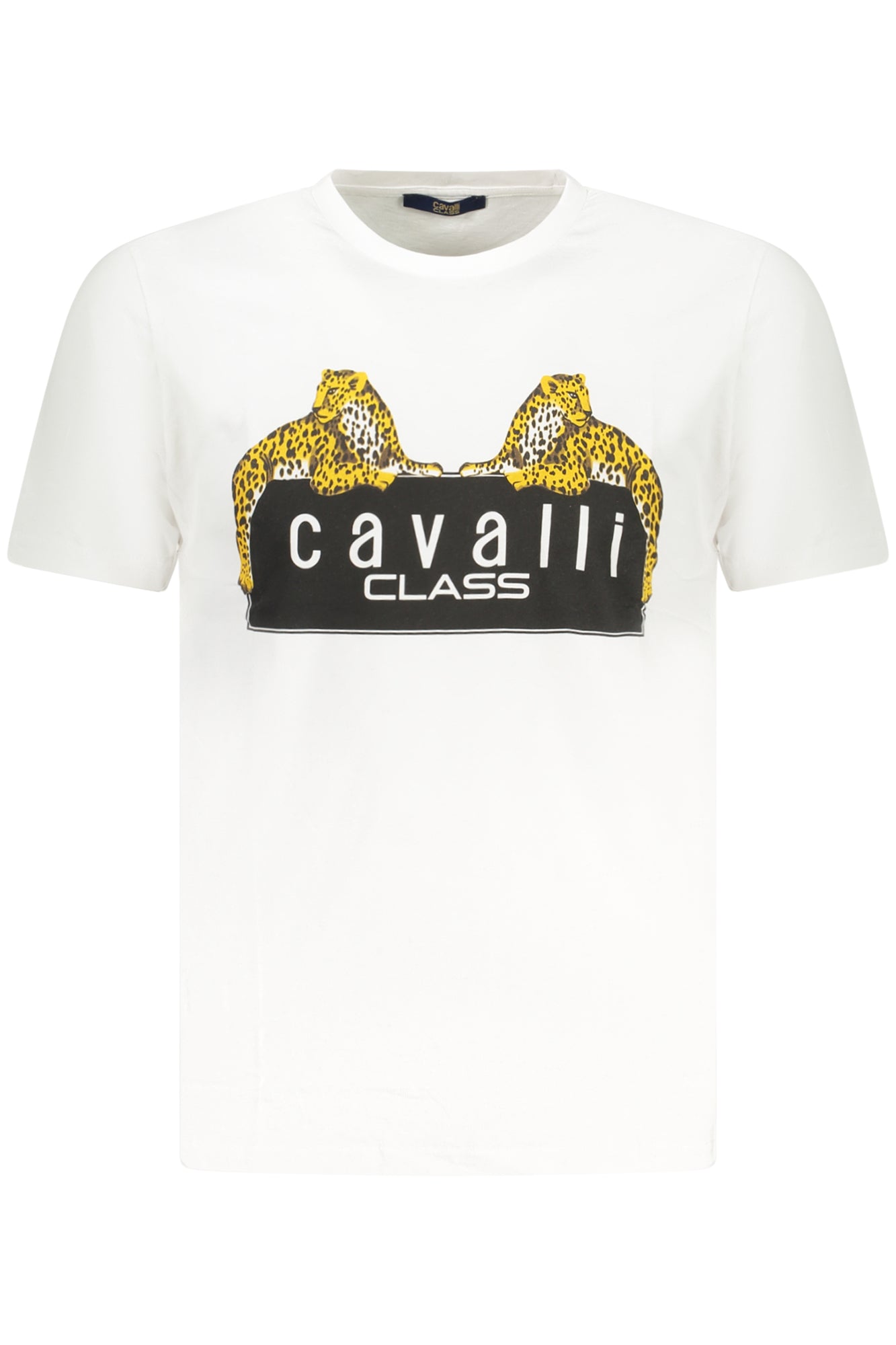 CAVALLI CLASS T-Shirts White - TXT60NJD060