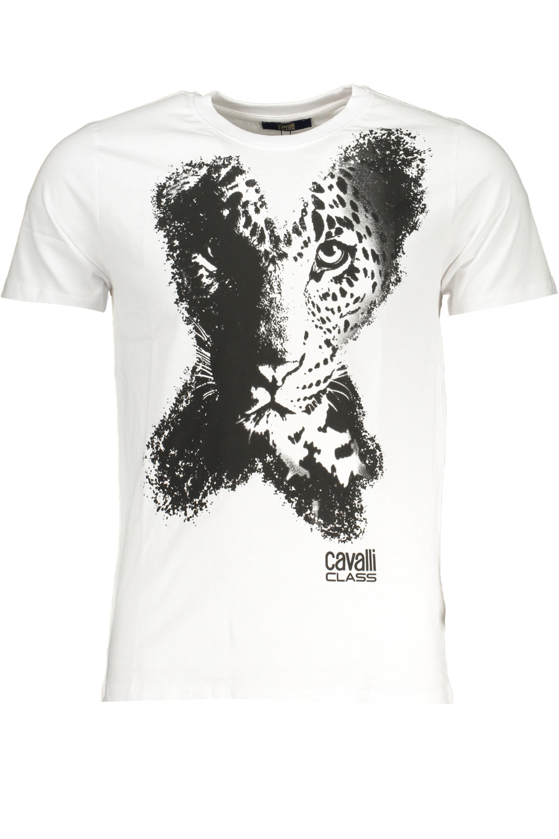 CAVALLI CLASS T-Shirts White - QXT63AJD060