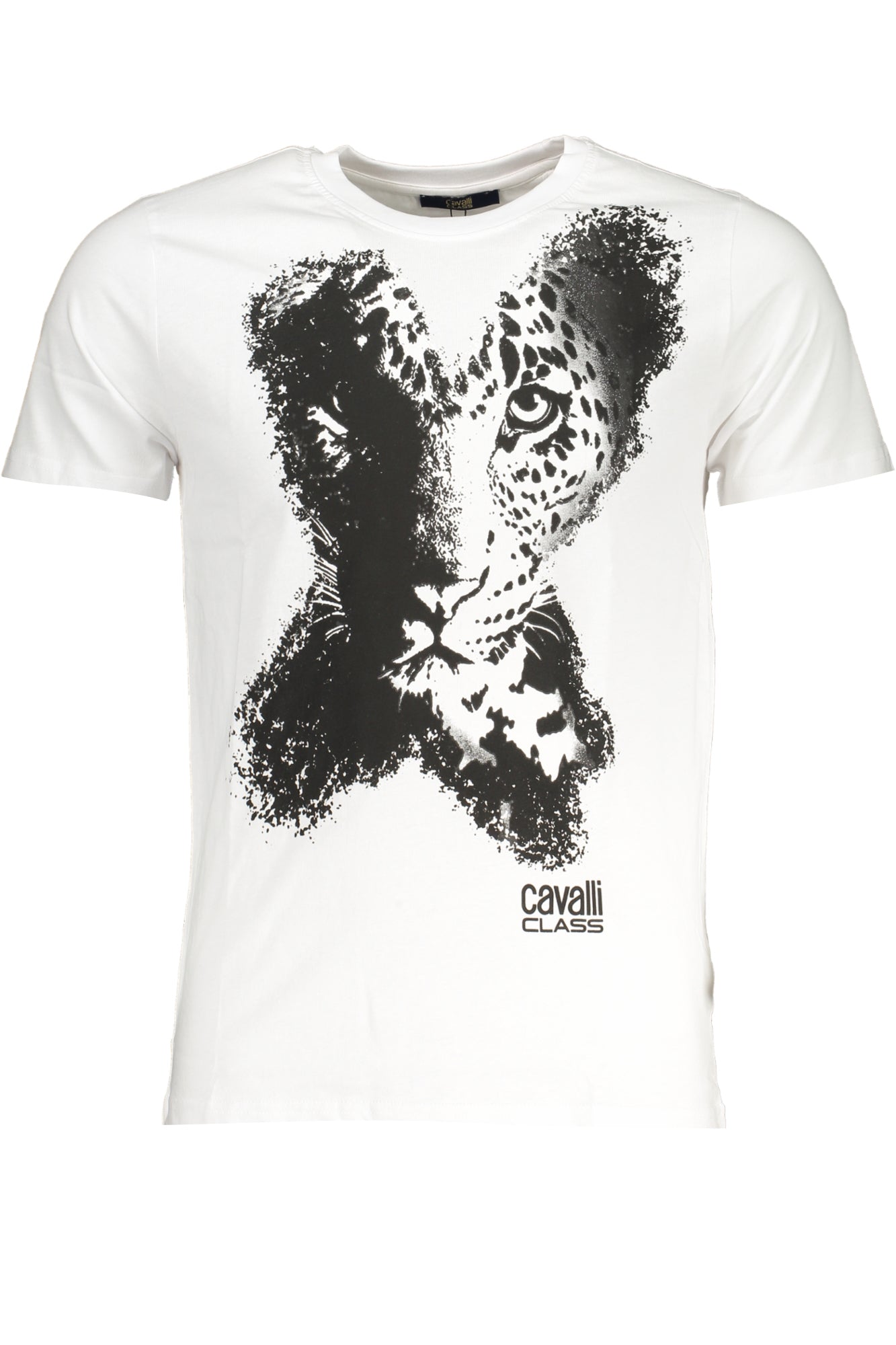 CAVALLI CLASS T-Shirts White - QXT63AJD060