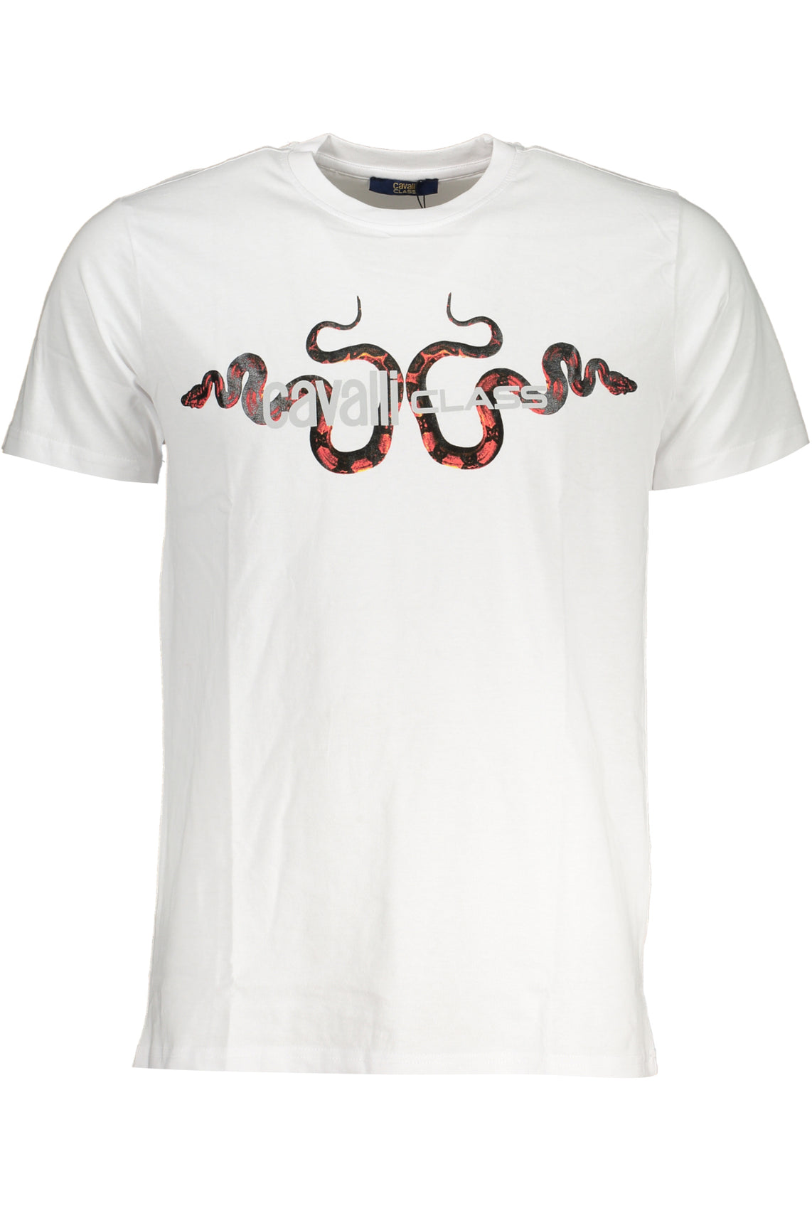 CAVALLI CLASS T-Shirts White - QXT63GJD060