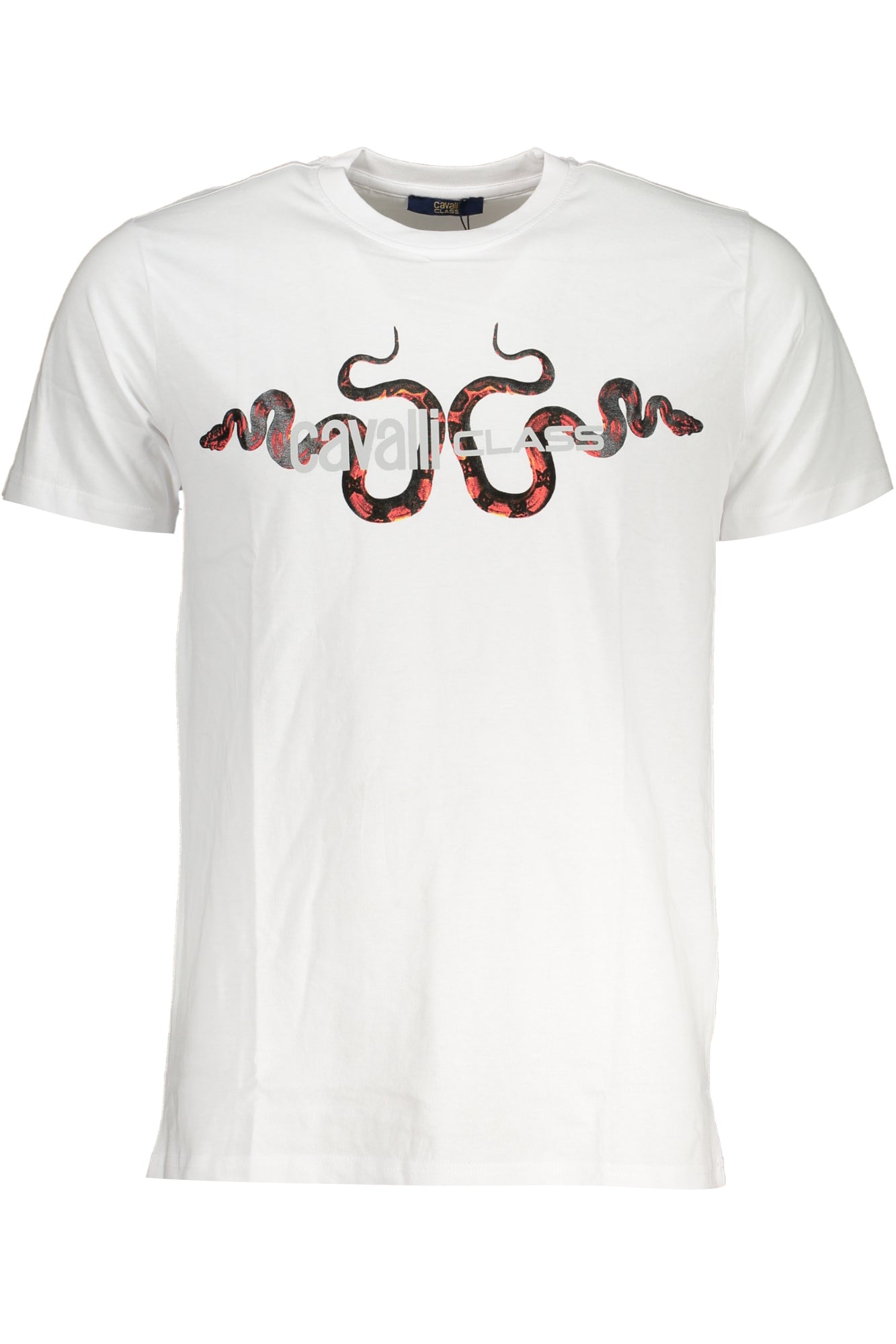 CAVALLI CLASS T-Shirts White - QXT63GJD060
