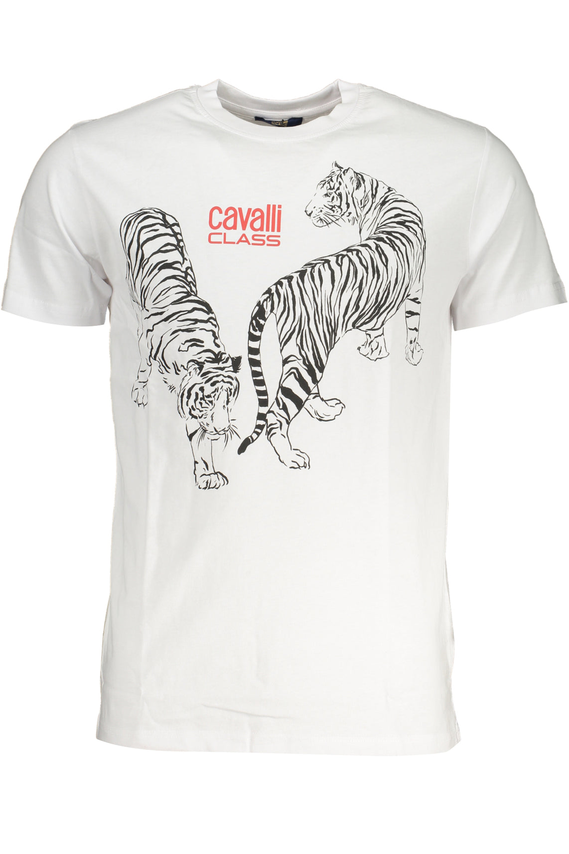 CAVALLI CLASS T-Shirts White - QXT62YJD060