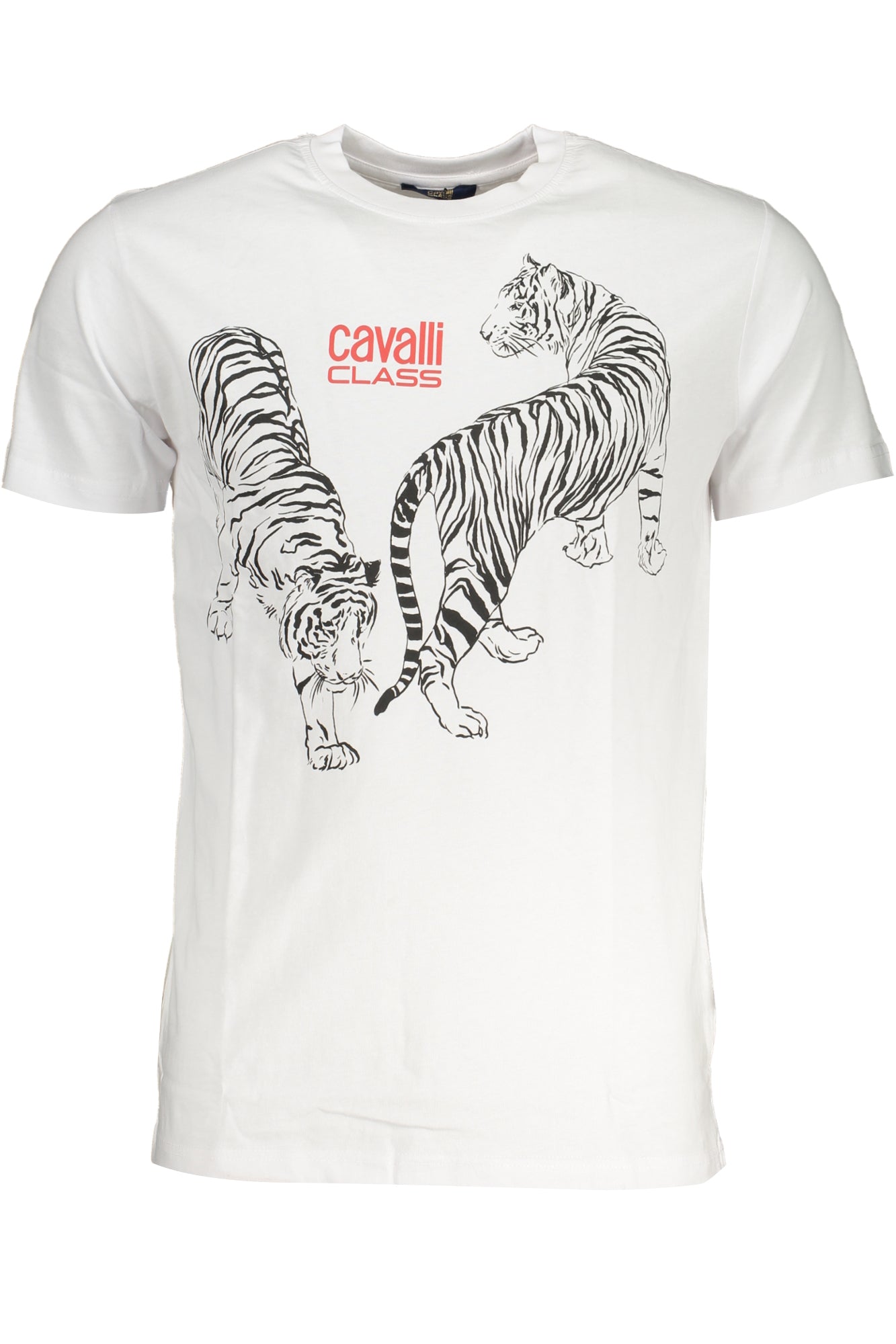 CAVALLI CLASS T-Shirts White - QXT62YJD060