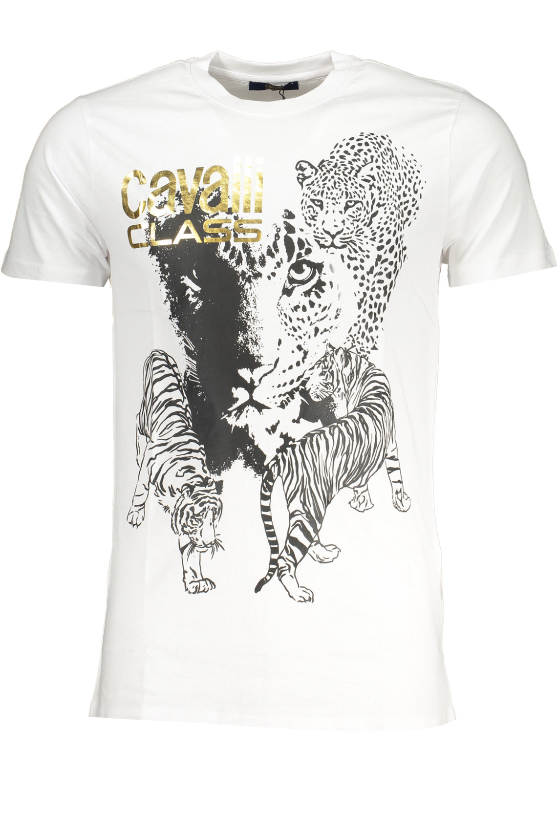 CAVALLI CLASS T-Shirts White - QXT63BJD060