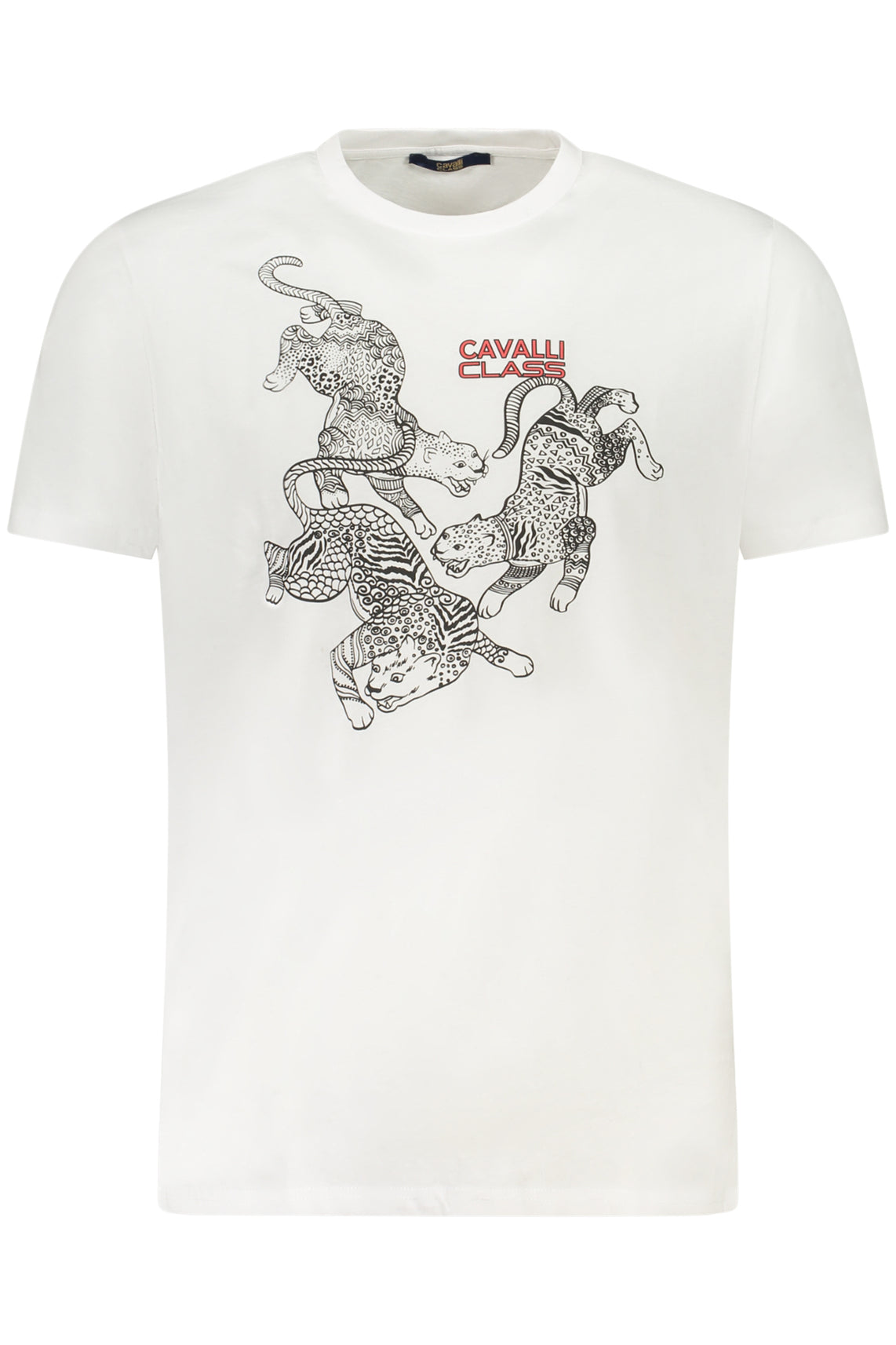 CAVALLI CLASS T-Shirts White - TXT60CJD060