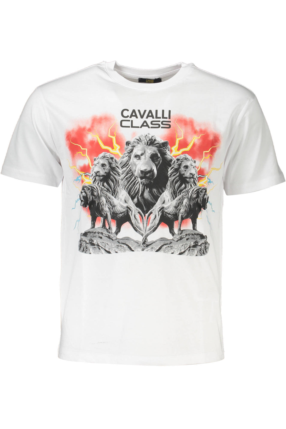 CAVALLI CLASS T-Shirts White - QXT60FJD060