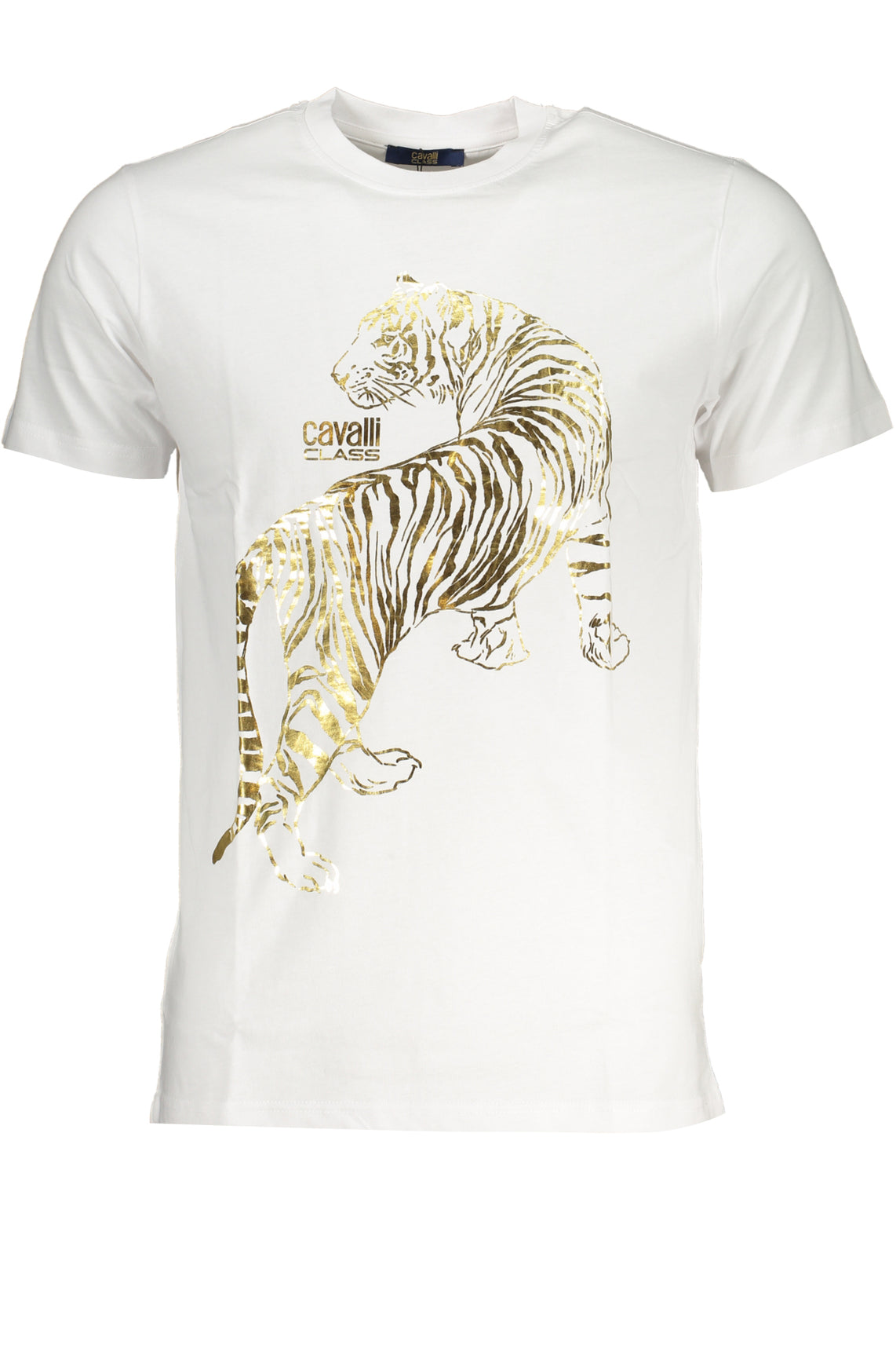 CAVALLI CLASS T-Shirts White - QXT62TJD060