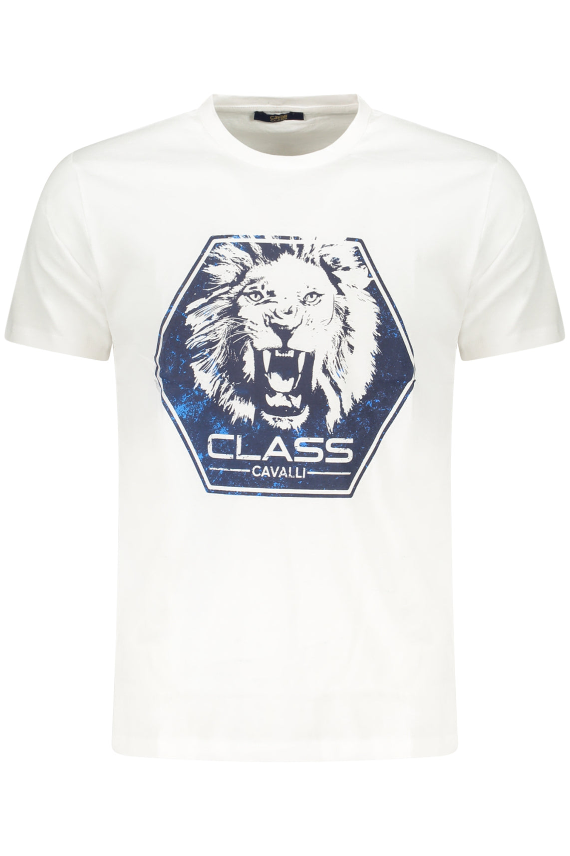 CAVALLI CLASS T-Shirts White - TXT60PJD060