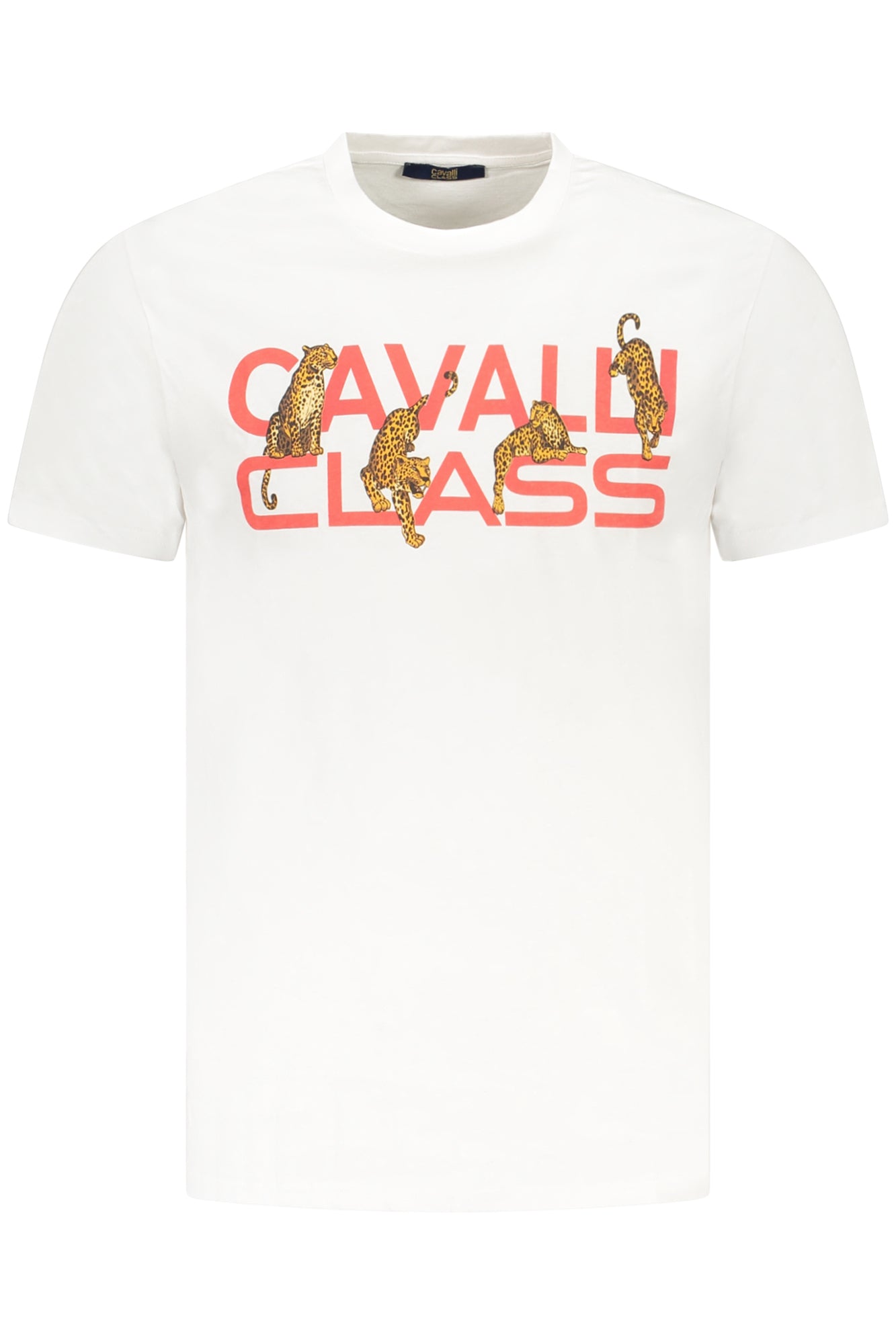 CAVALLI CLASS T-Shirts White - TXT60MJD060