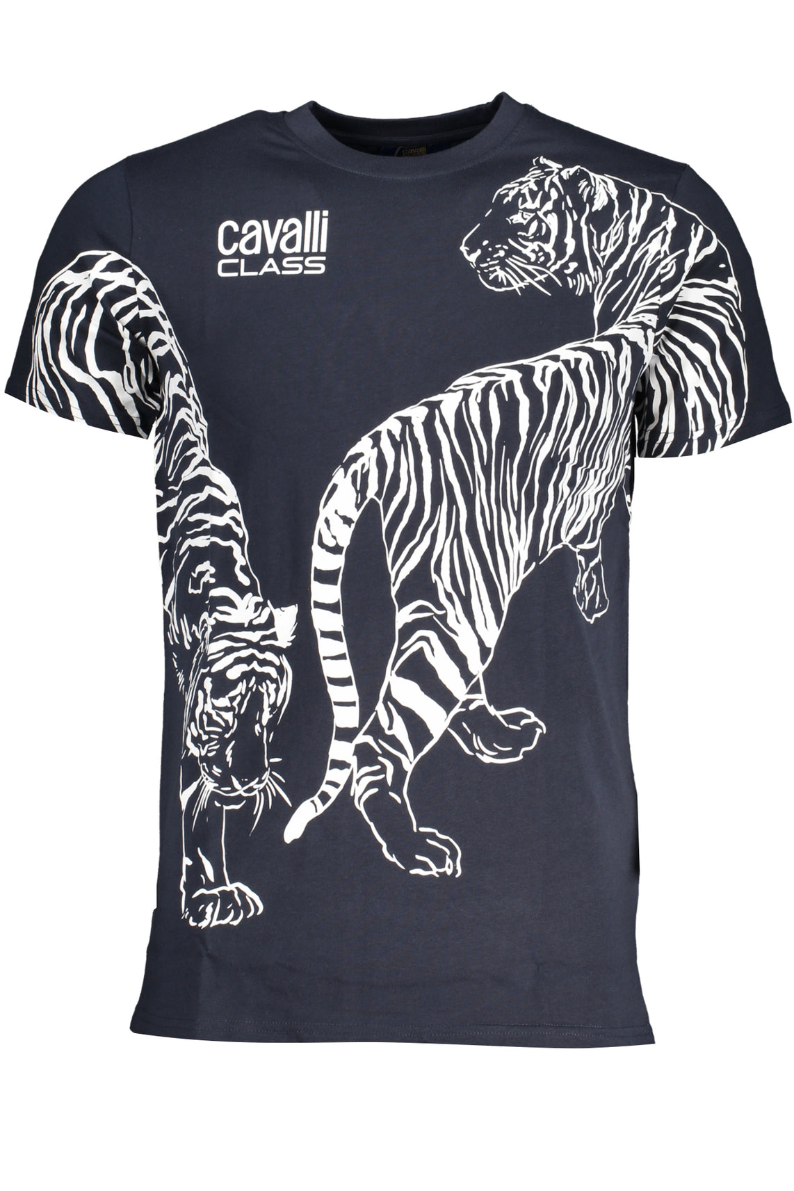 CAVALLI CLASS