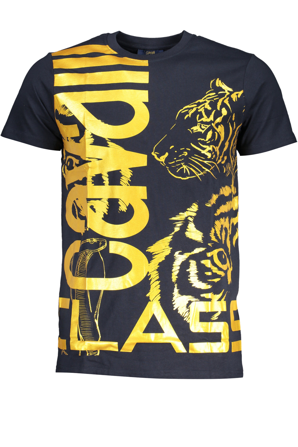 CAVALLI CLASS