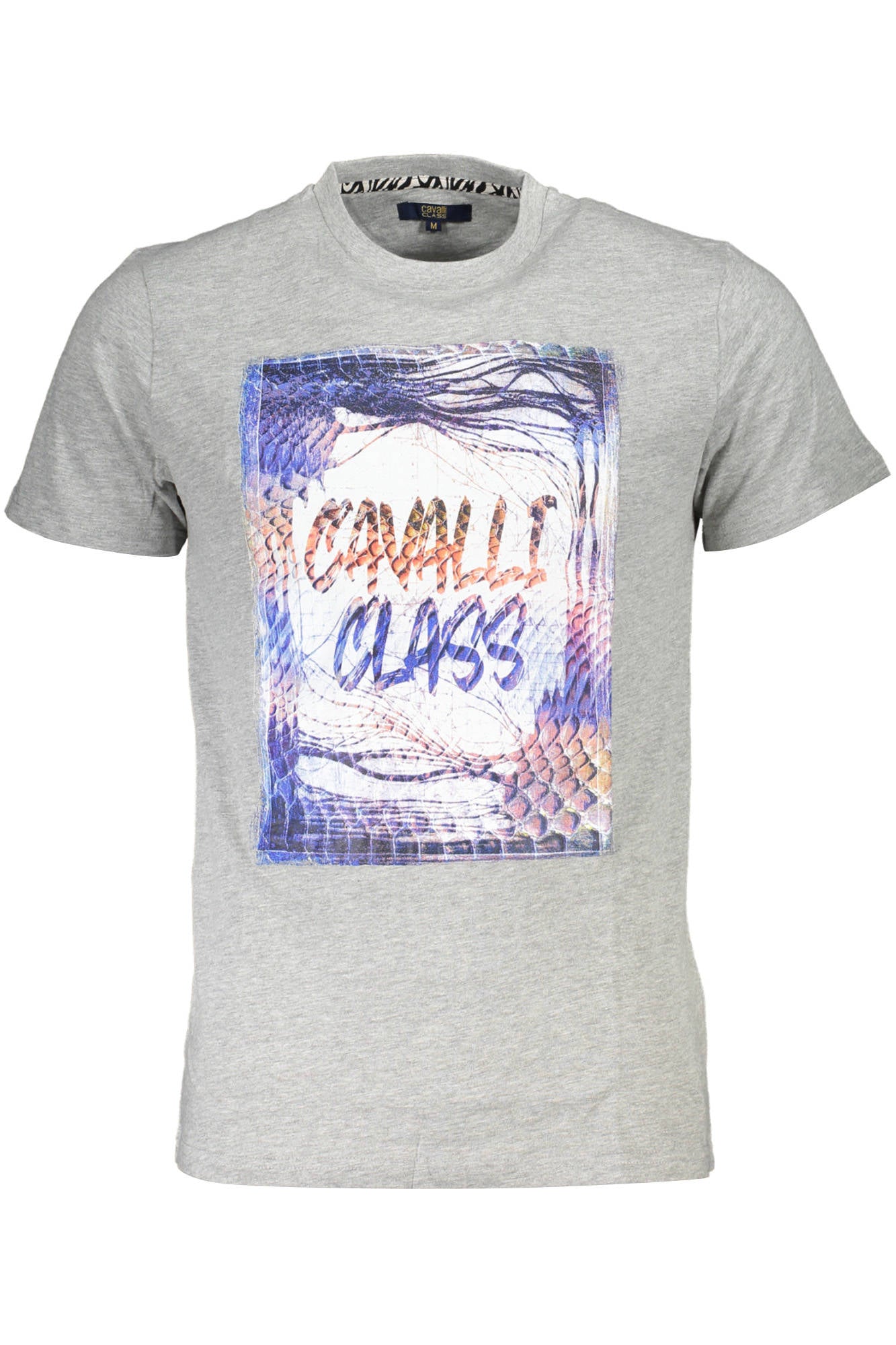 CAVALLI CLASS T-Shirts Grey - QXT61OJD060