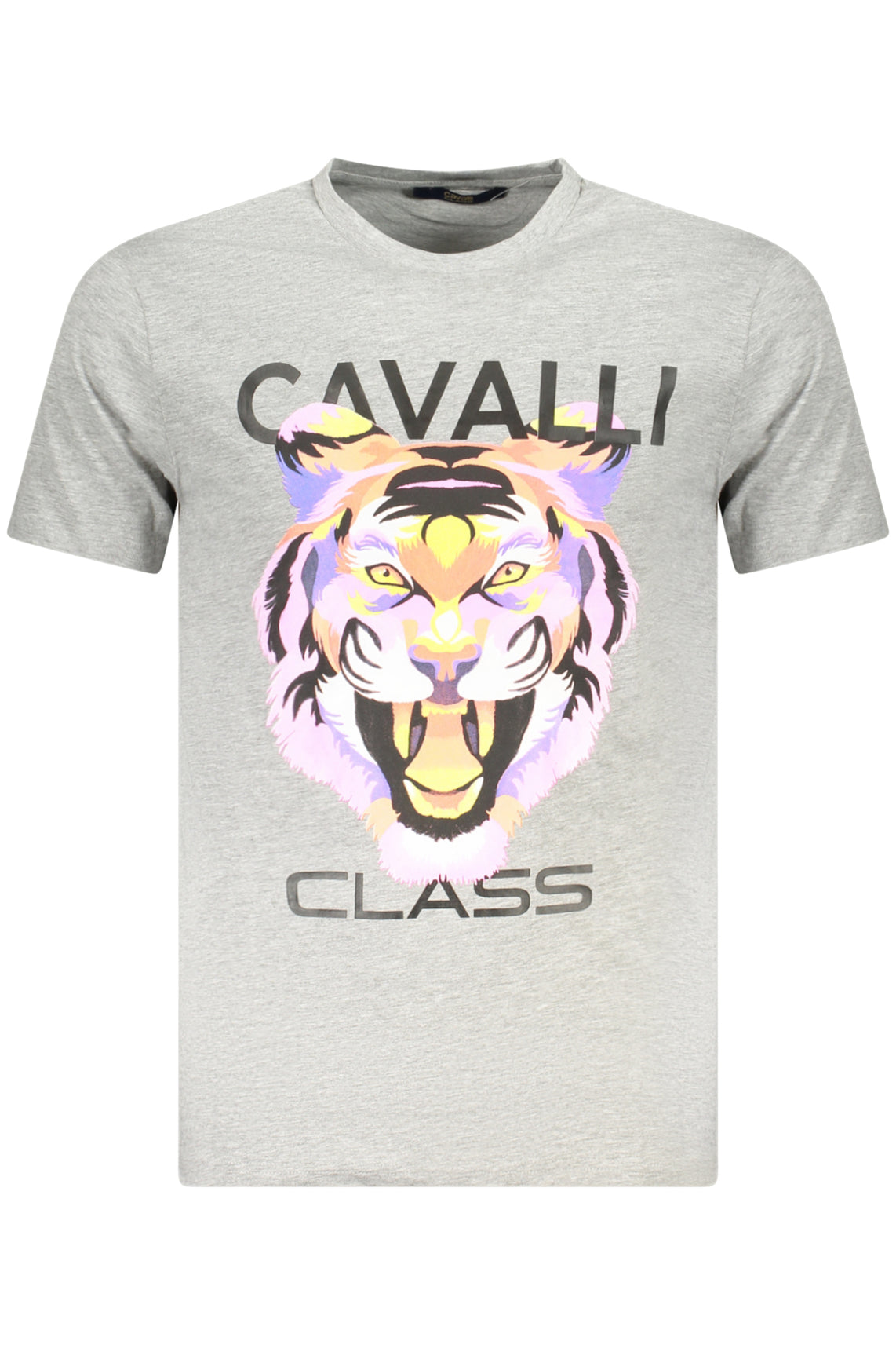 CAVALLI CLASS T-Shirts Grey - TXT60FJD060